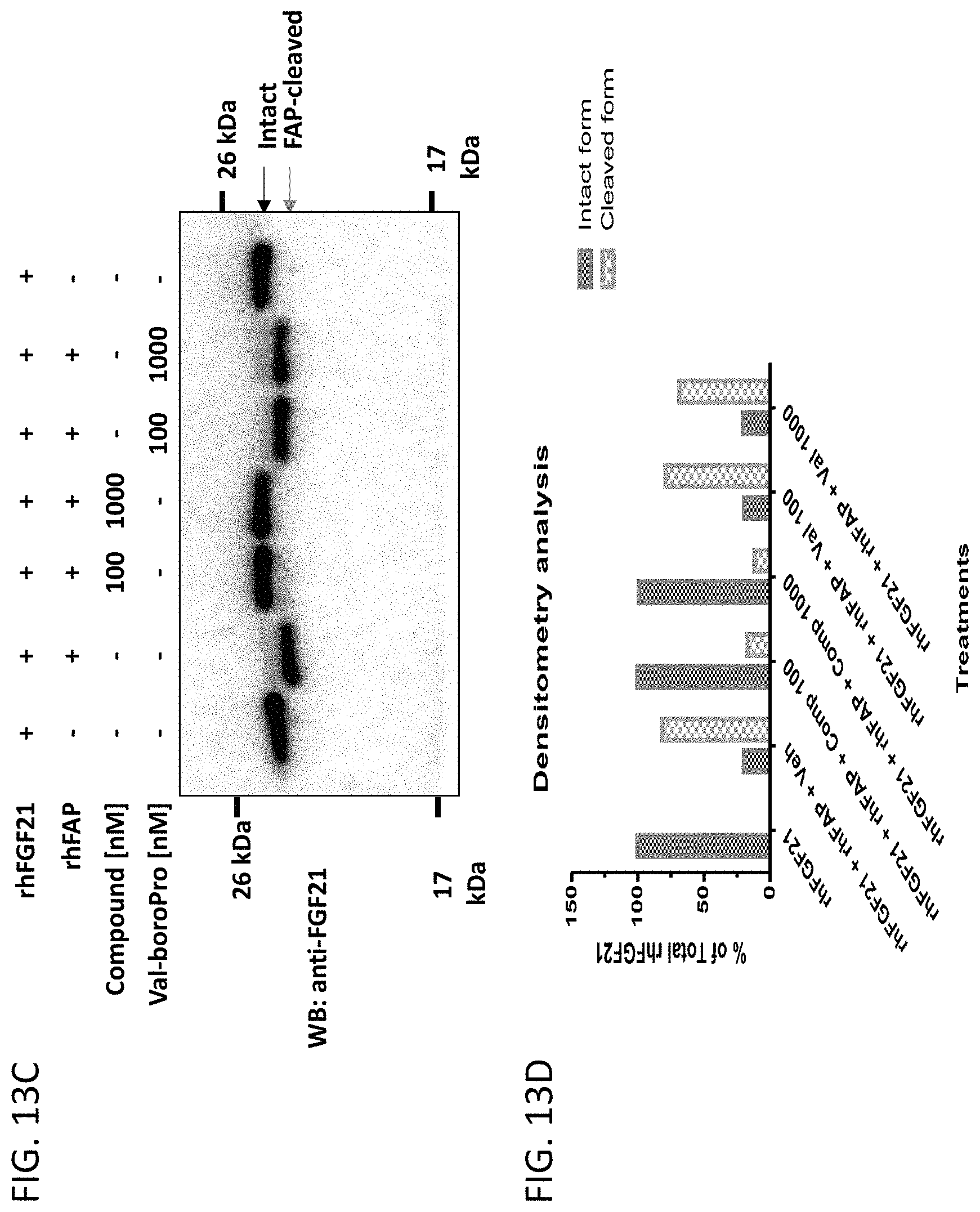 Patent US11780821 Figure 13 – Inhibitors of fibroblast activation protein