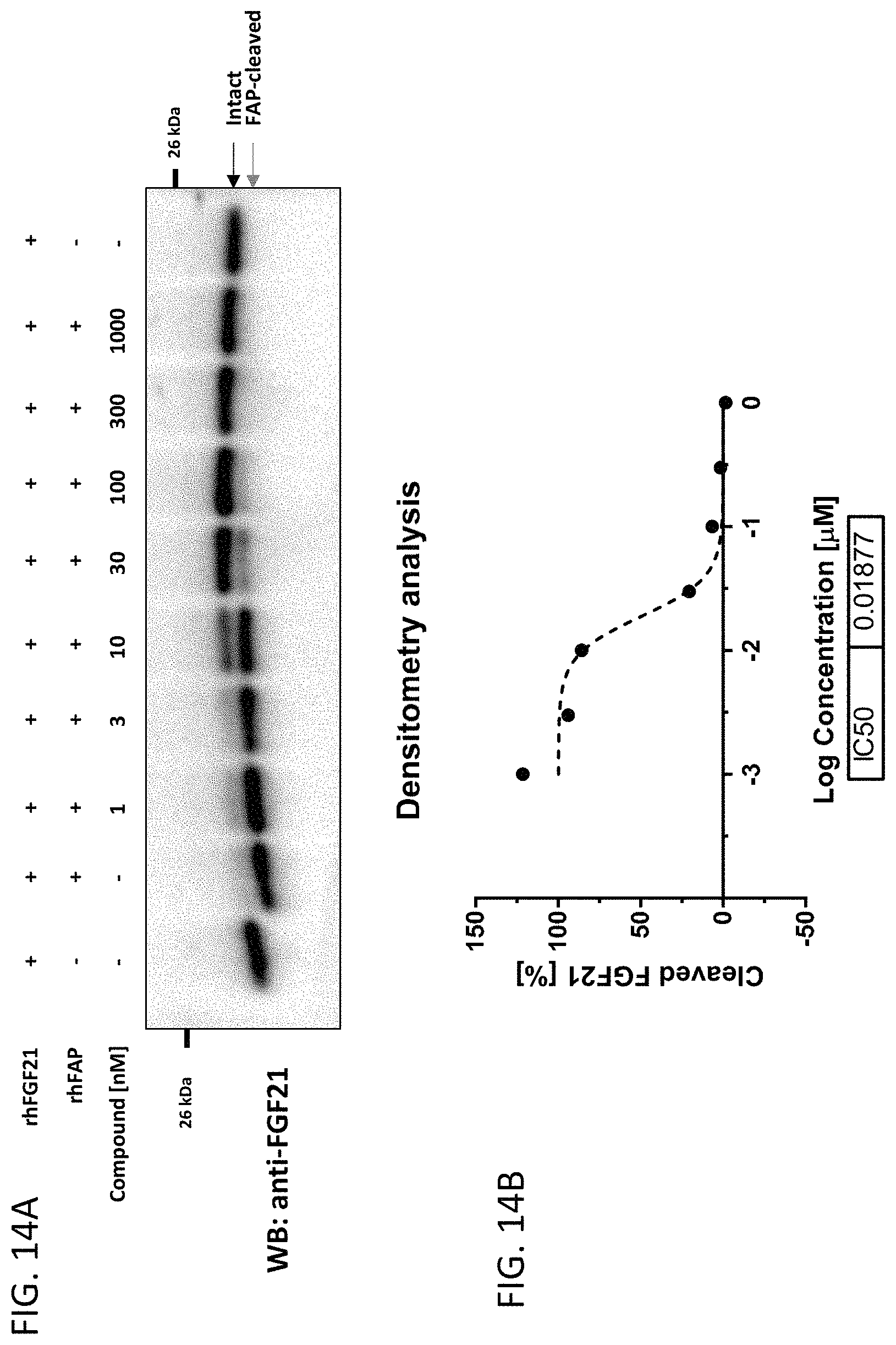 Patent US11780821 Figure 14 – Inhibitors of fibroblast activation protein