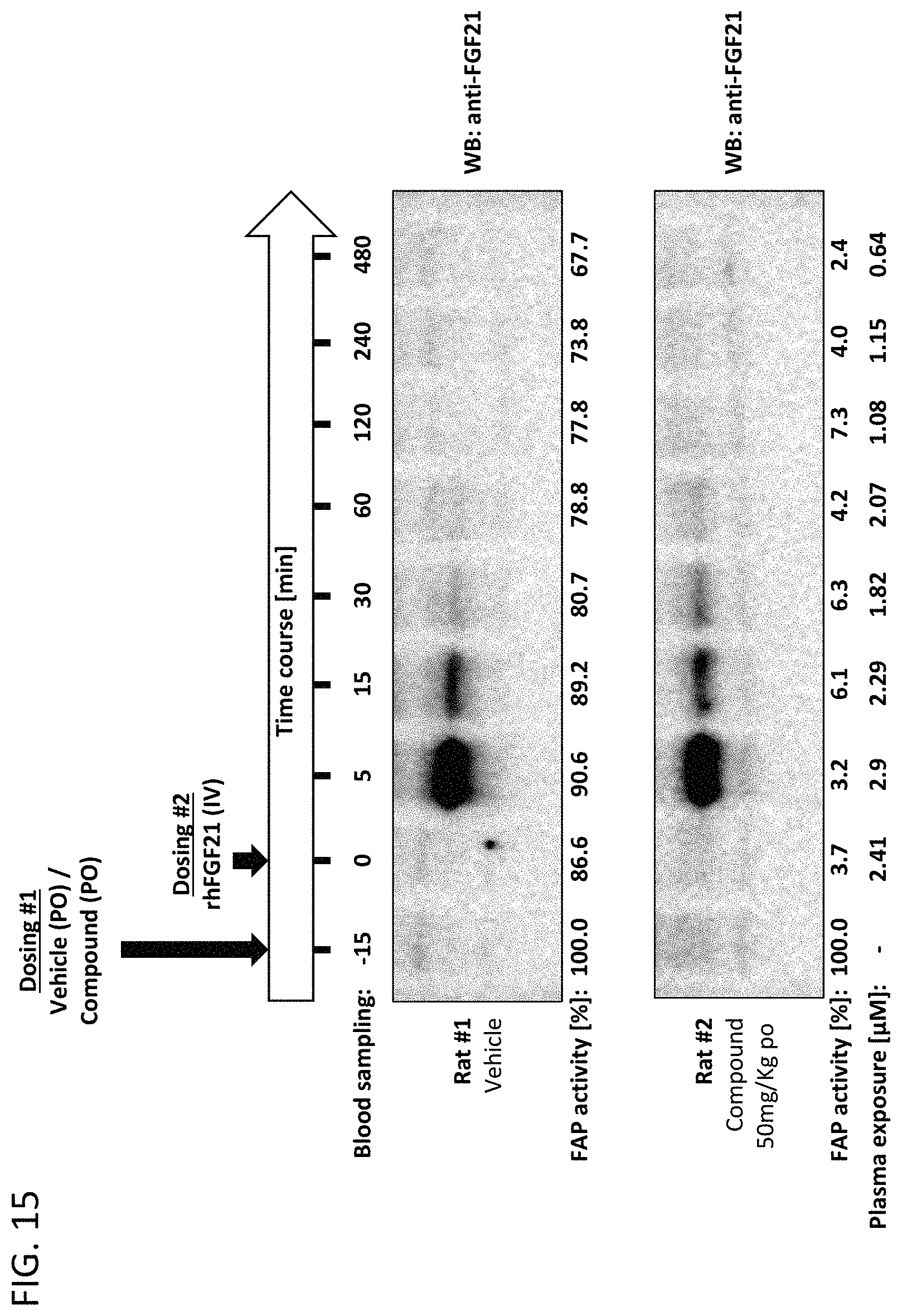 Patent US11780821 Figure 15 – Inhibitors of fibroblast activation protein