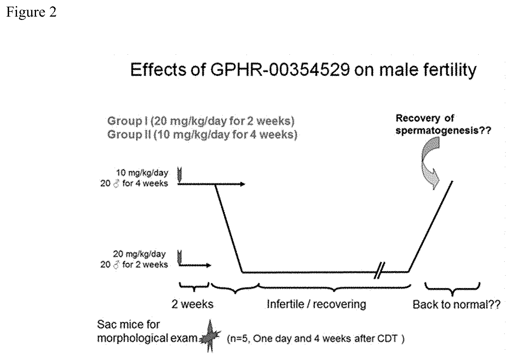 Patent US11780828 Figure 2 – Contraceptive compounds and methods