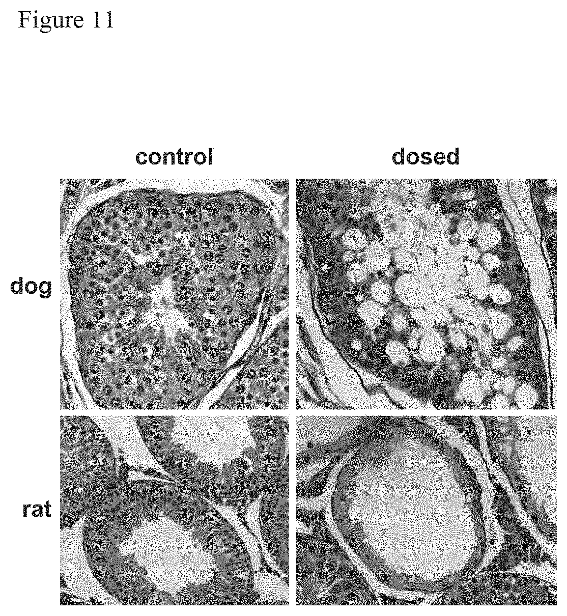 Patent US11780828 Figure 11 – Contraceptive compounds and methods