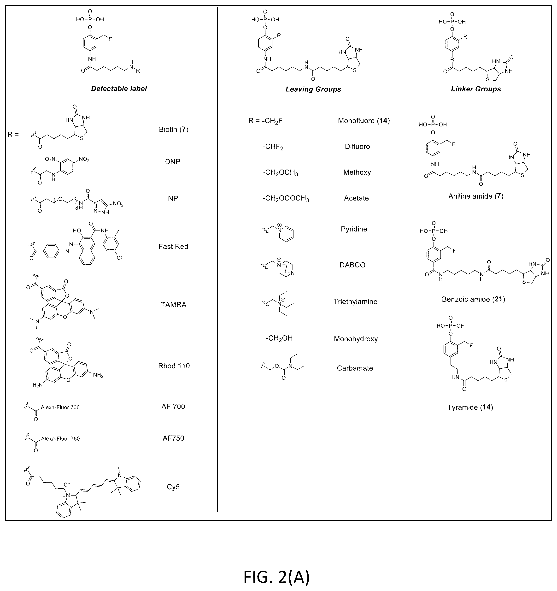 Patent US11780863 Figure 2 – Quinone methide analog signal amplification