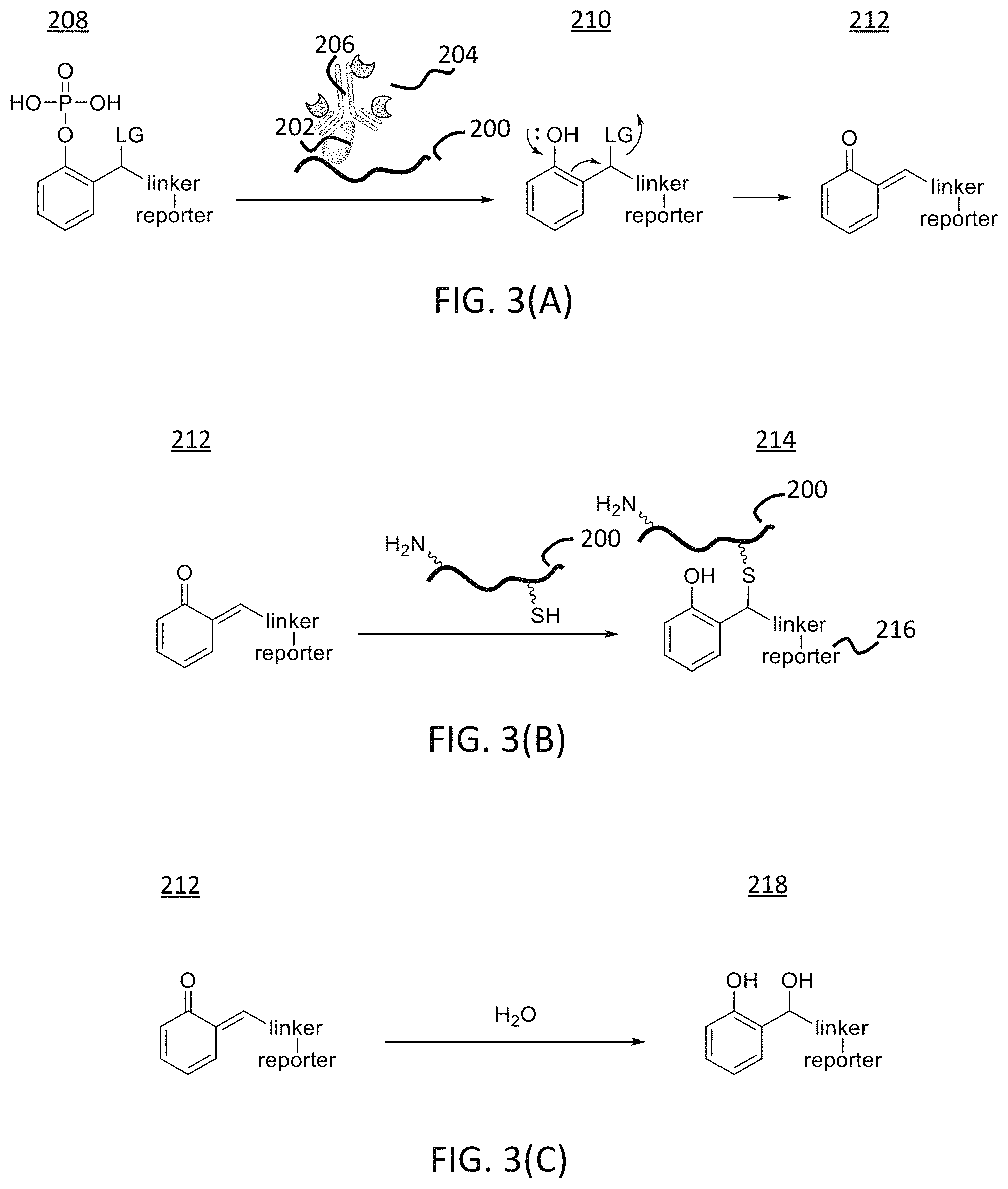 Patent US11780863 Figure 4 – Quinone methide analog signal amplification
