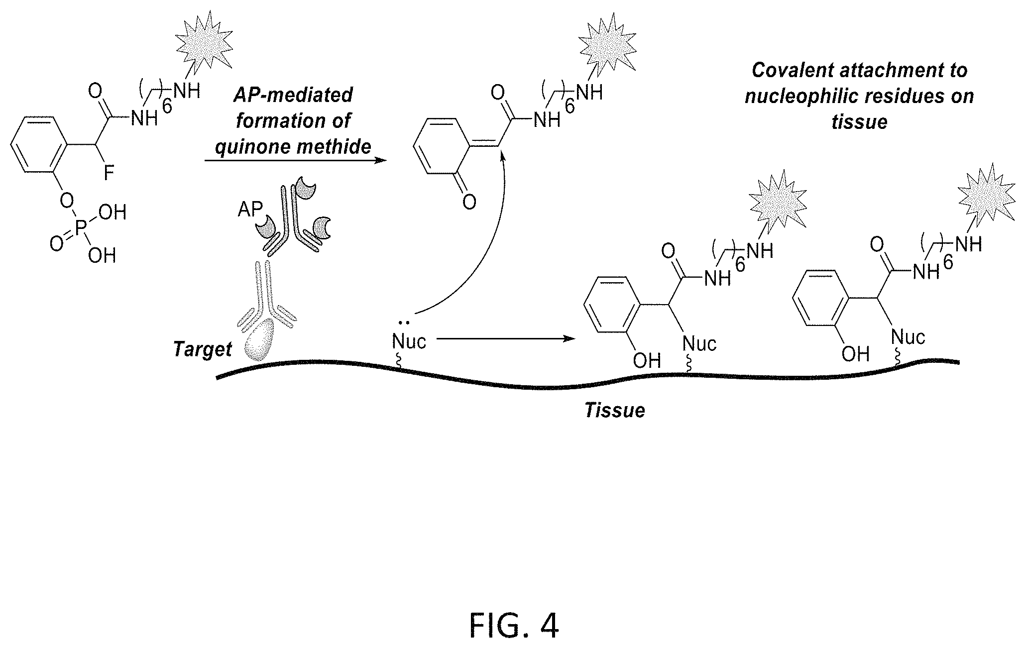 Patent US11780863 Figure 5 – Quinone methide analog signal amplification