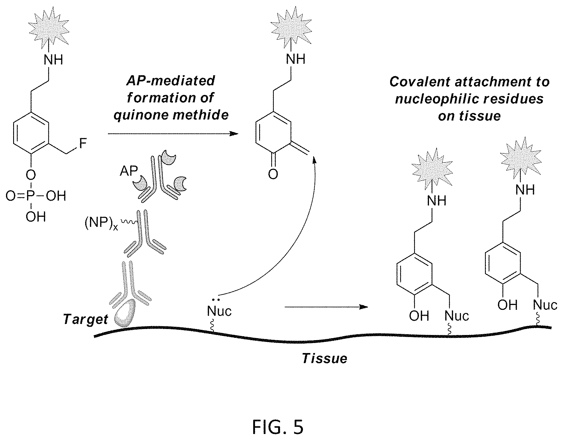 Patent US11780863 Figure 6 – Quinone methide analog signal amplification