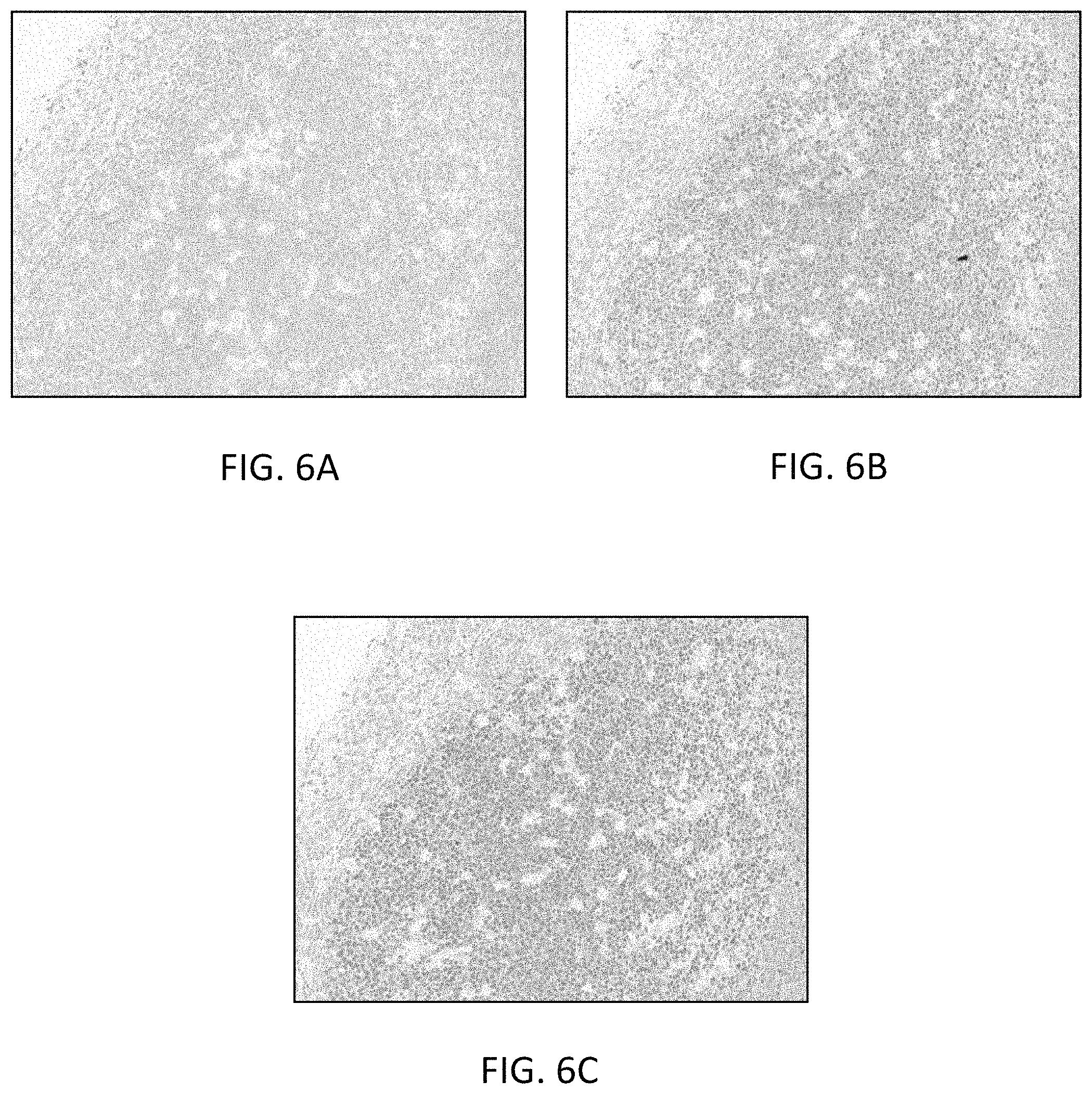 Patent US11780863 Figure 7 – Quinone methide analog signal amplification