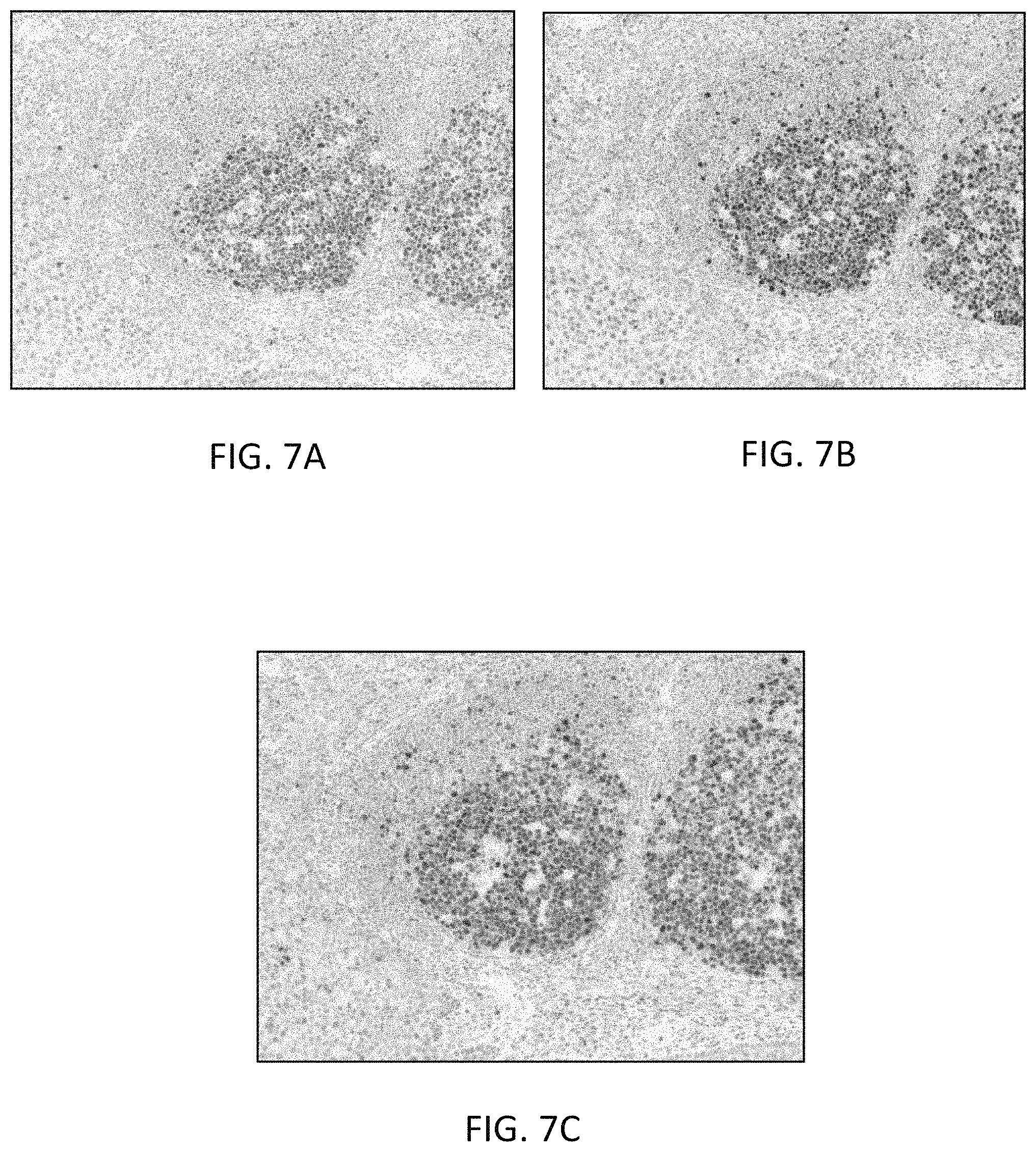 Patent US11780863 Figure 8 – Quinone methide analog signal amplification