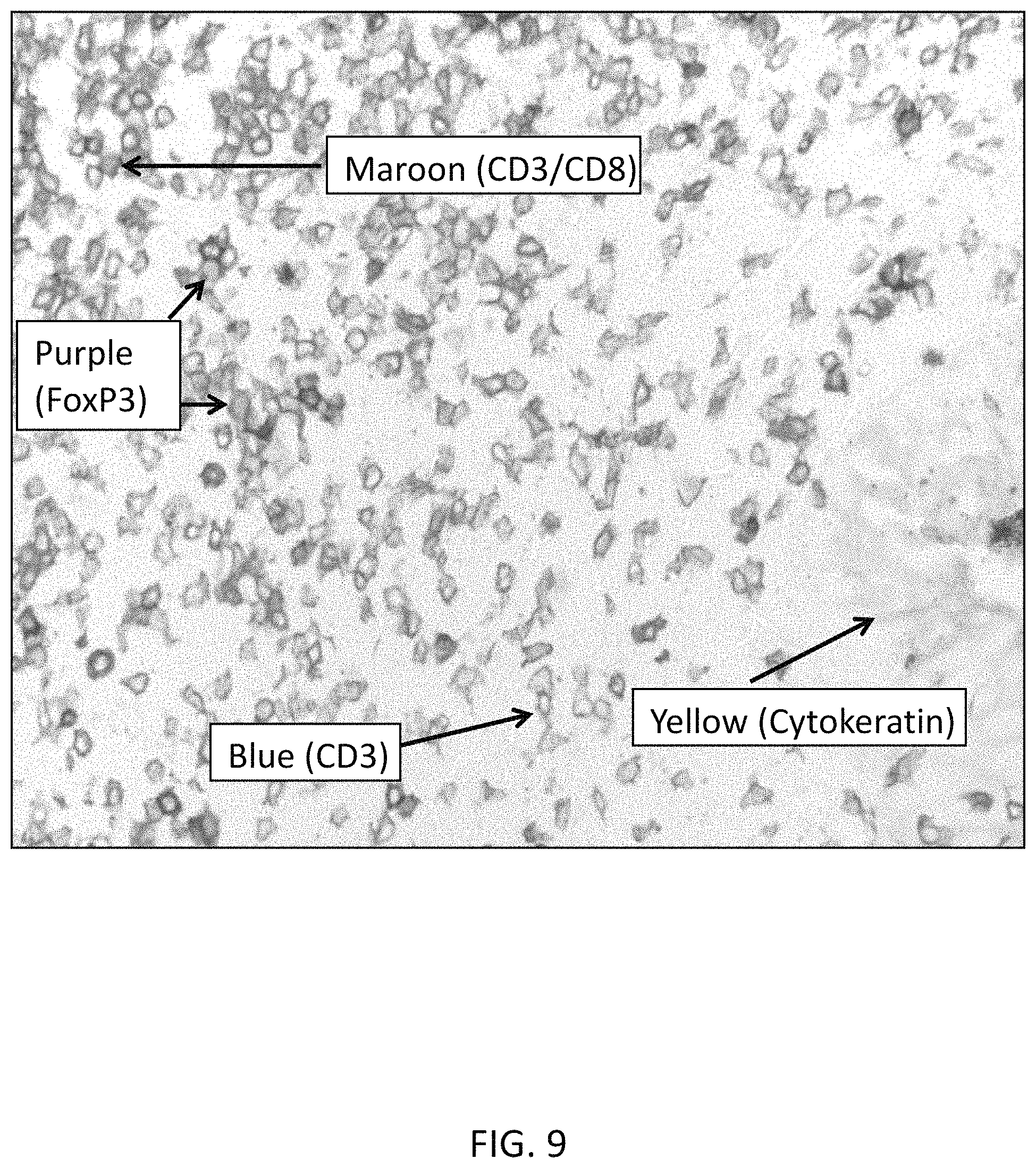 Patent US11780863 Figure 10 – Quinone methide analog signal amplification