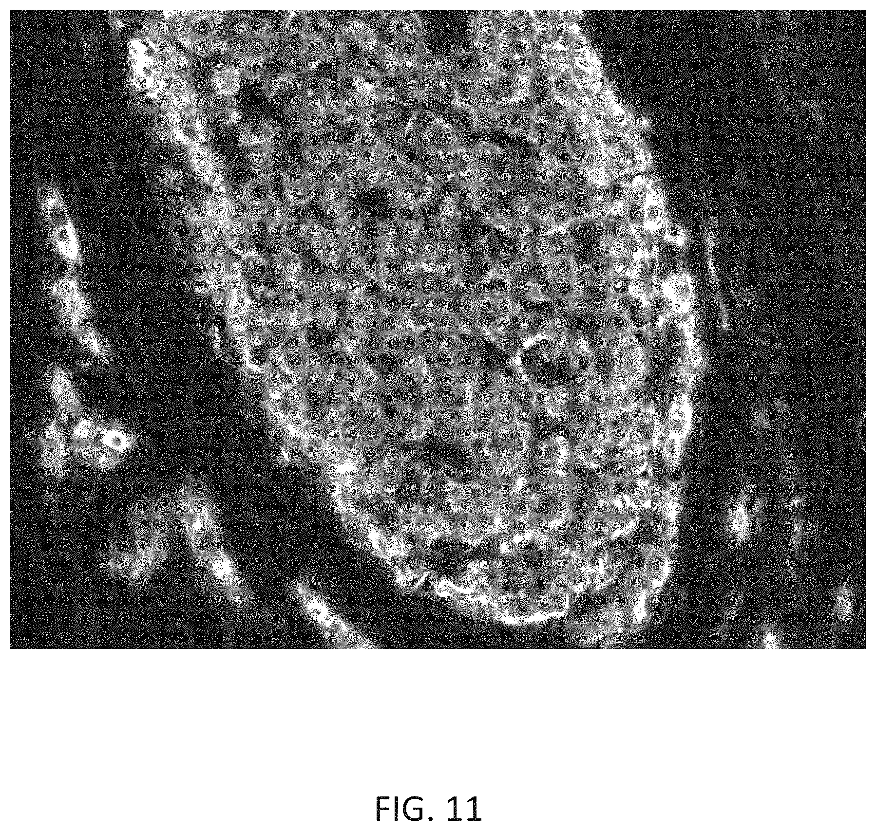 Patent US11780863 Figure 12 – Quinone methide analog signal amplification