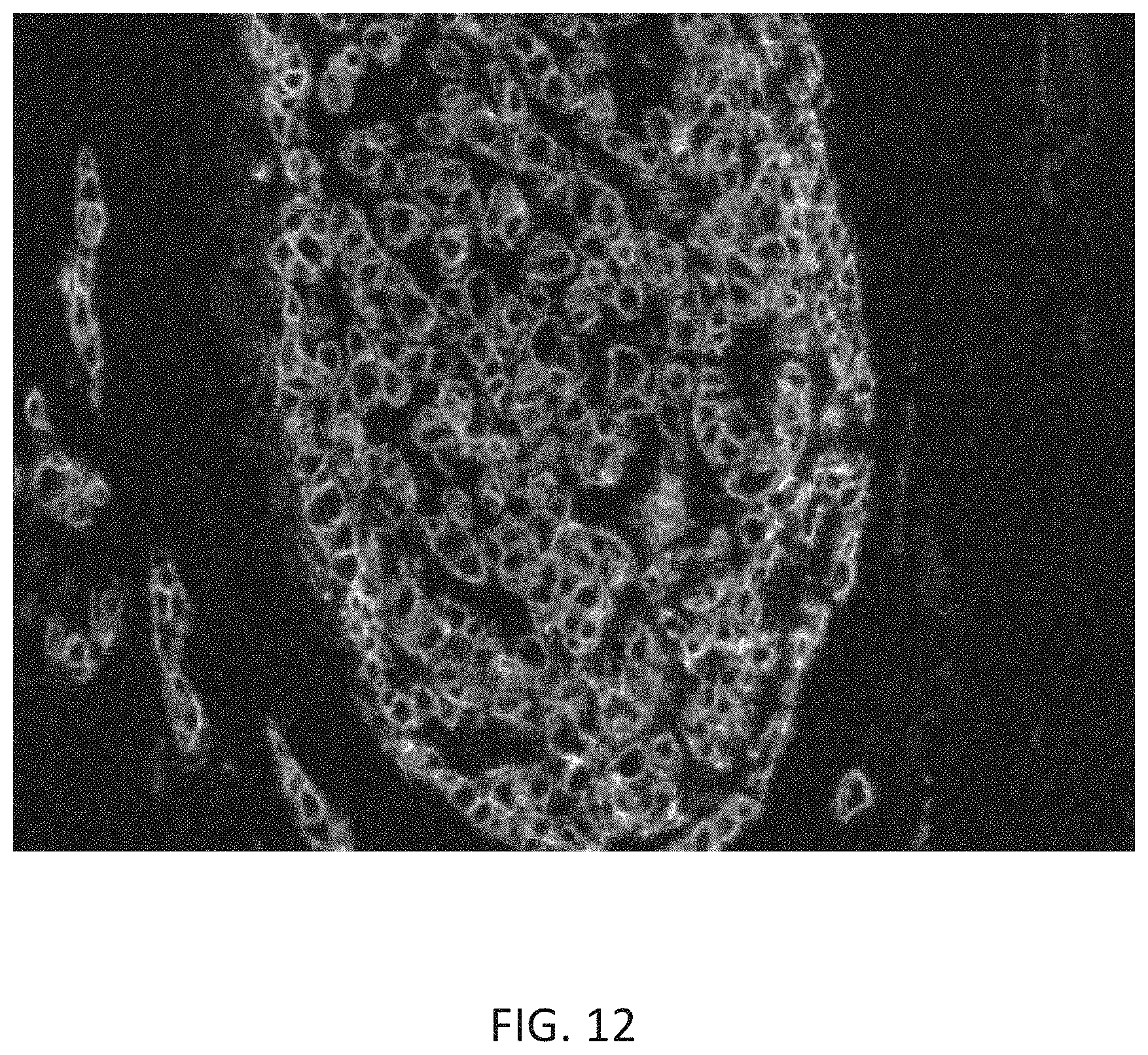 Patent US11780863 Figure 13 – Quinone methide analog signal amplification