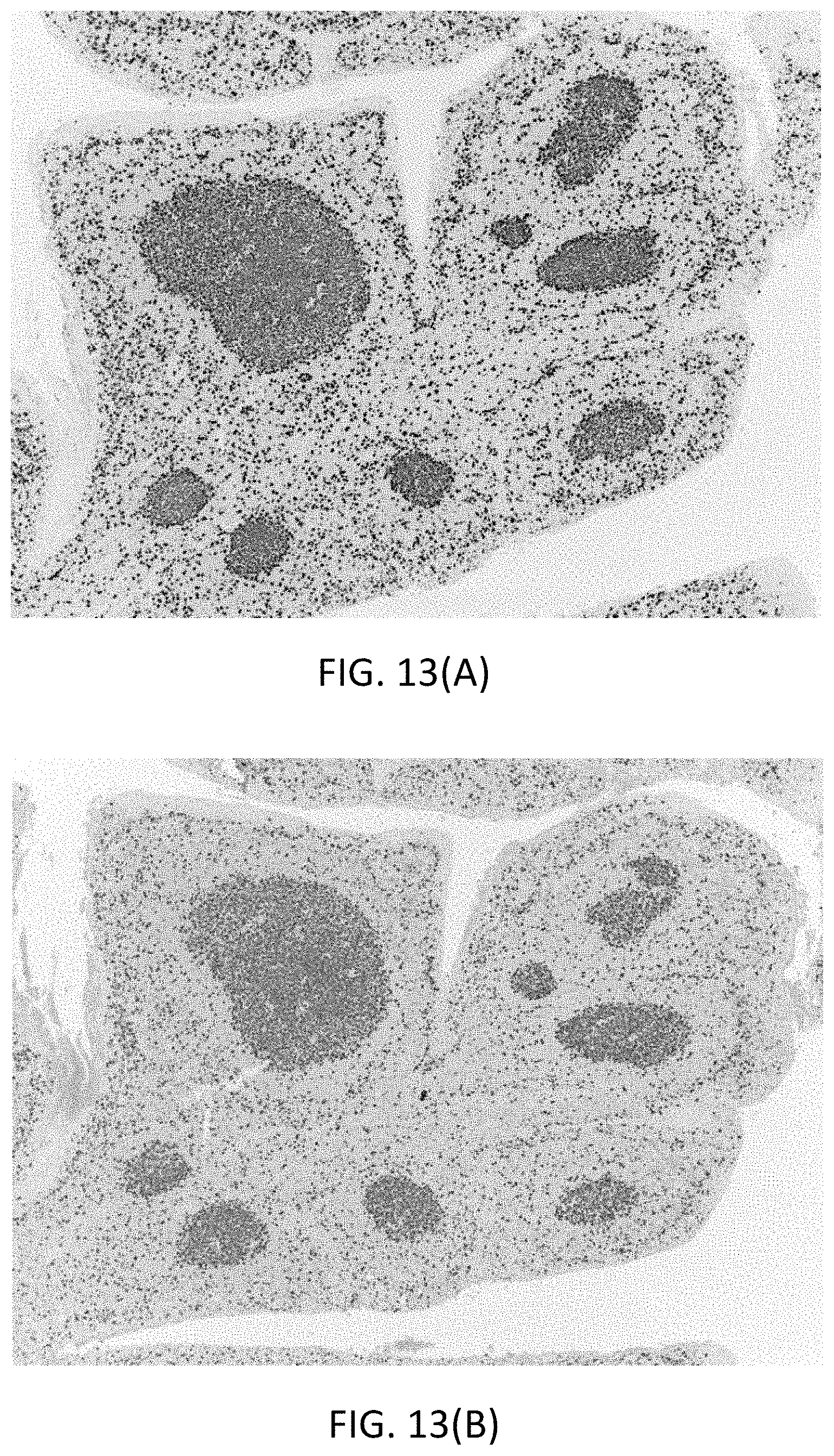 Patent US11780863 Figure 14 – Quinone methide analog signal amplification