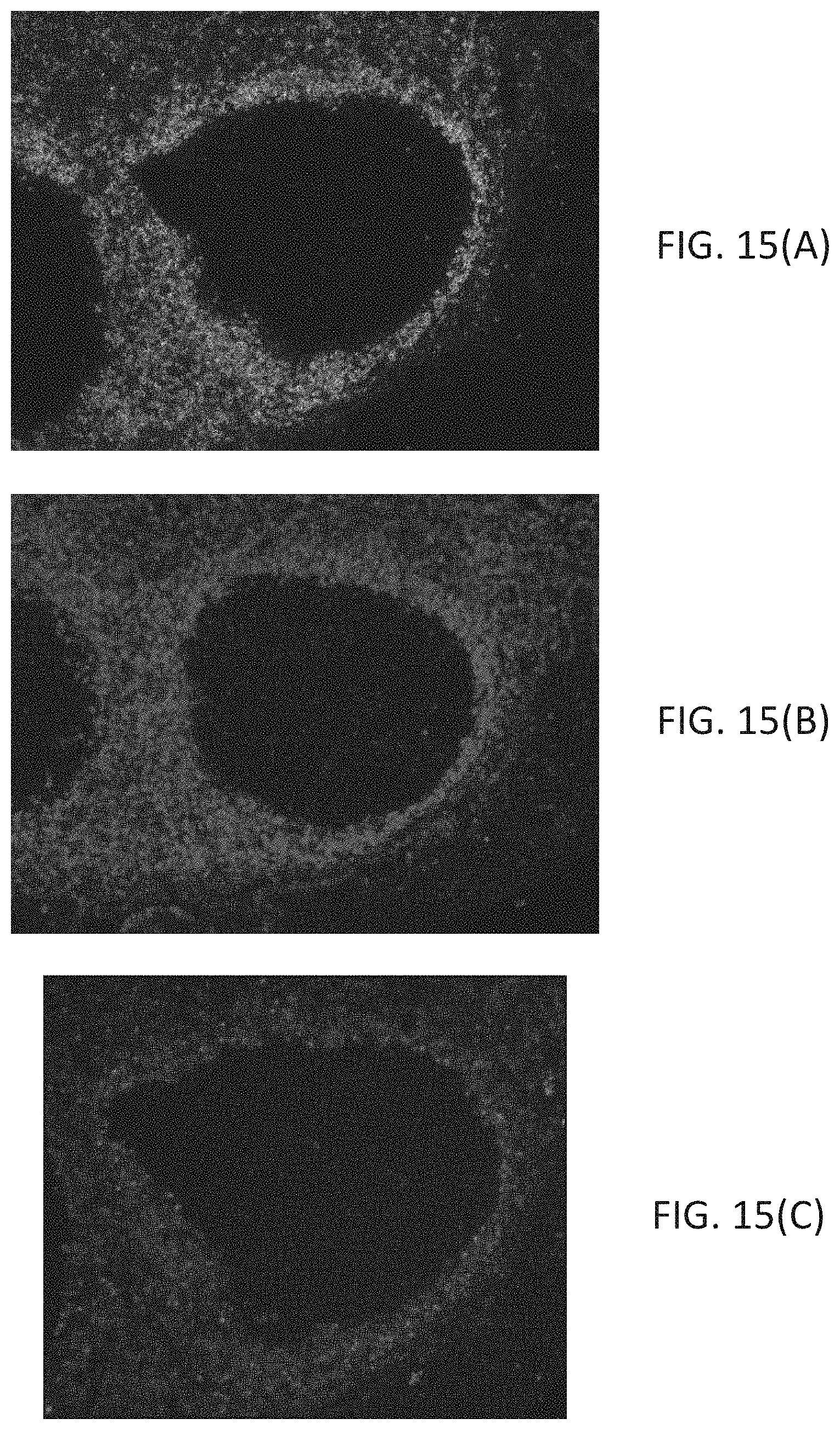 Patent US11780863 Figure 17 – Quinone methide analog signal amplification