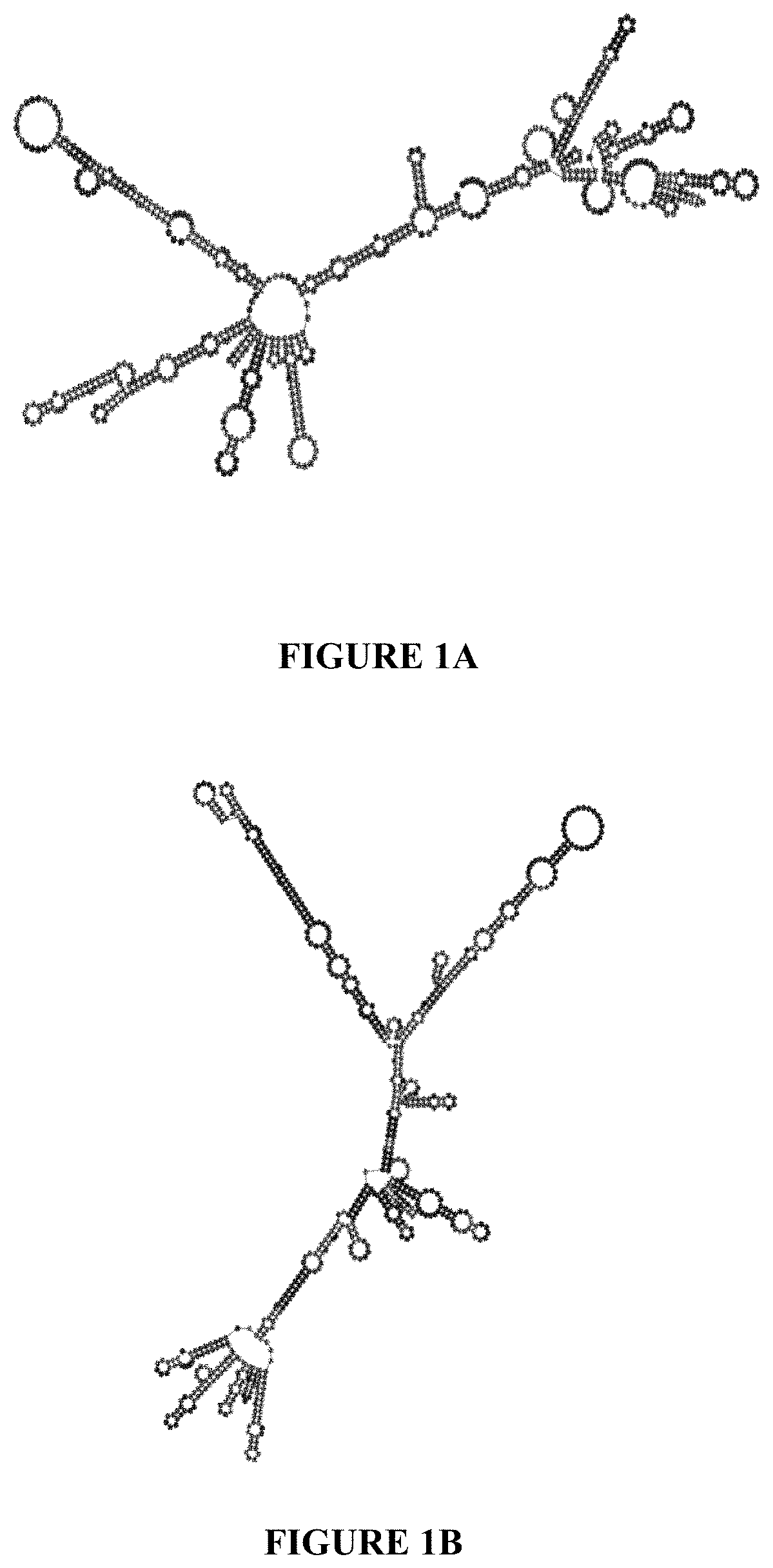 Patent US11780869 Figure 1 – Deuterium-stabilised ribonucleic acid (RNA) molecules displaying increased resistance to thermal and enzymatic hydrolysis, aqueous compositions comprising stabilised RNA molecules and methods for making same
