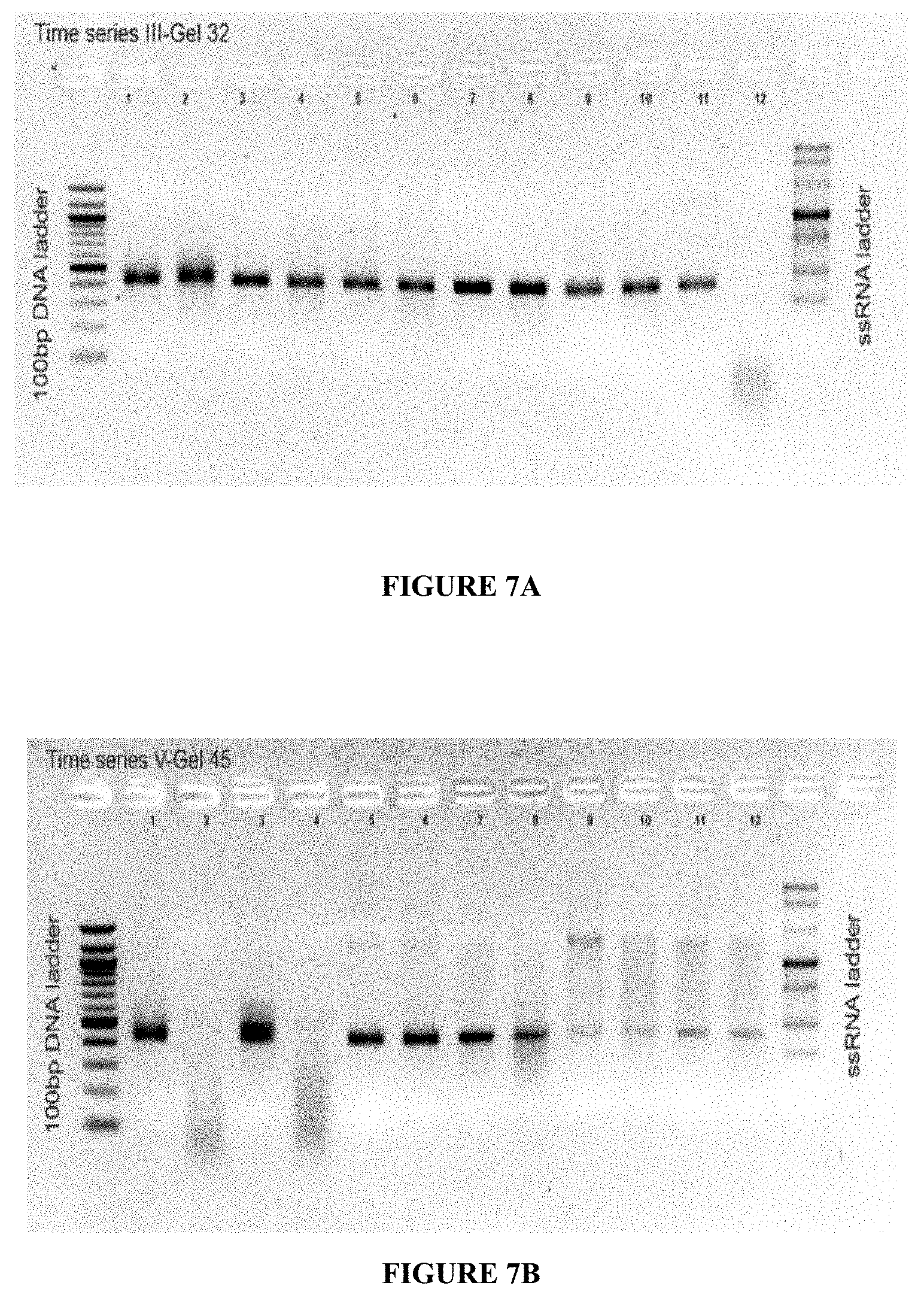 Patent US11780869 Figure 6 – Deuterium-stabilised ribonucleic acid (RNA) molecules displaying increased resistance to thermal and enzymatic hydrolysis, aqueous compositions comprising stabilised RNA molecules and methods for making same