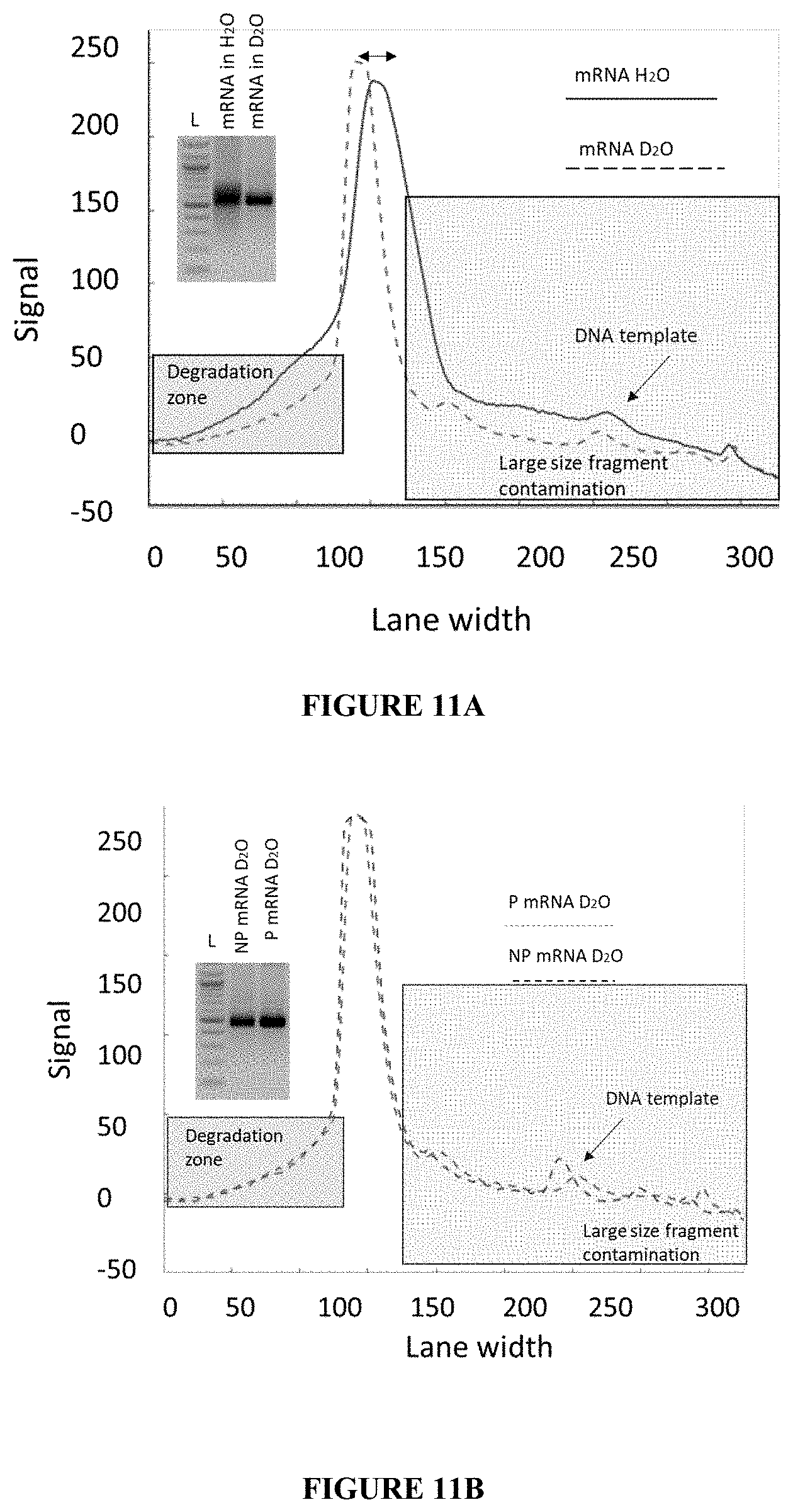 Patent US11780869 Figure 9 – Deuterium-stabilised ribonucleic acid (RNA) molecules displaying increased resistance to thermal and enzymatic hydrolysis, aqueous compositions comprising stabilised RNA molecules and methods for making same
