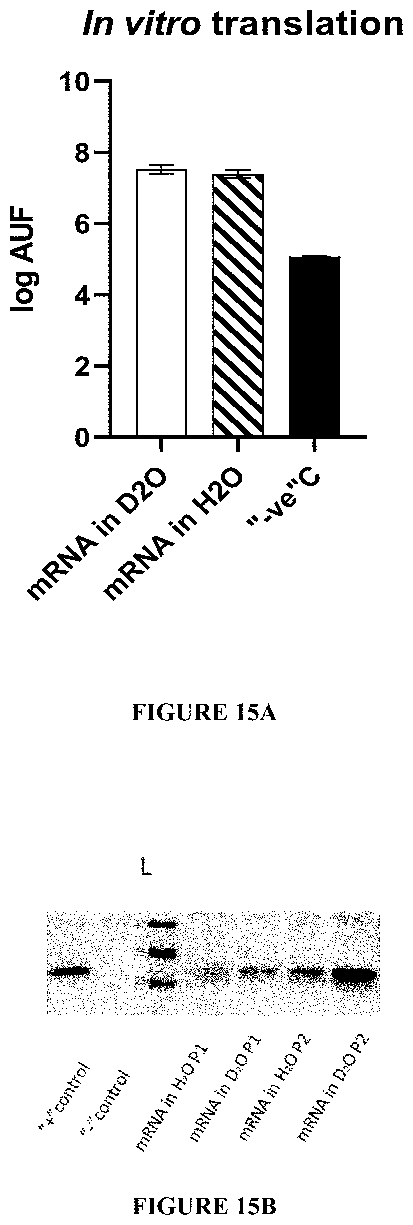 Patent US11780869 Figure 13 – Deuterium-stabilised ribonucleic acid (RNA) molecules displaying increased resistance to thermal and enzymatic hydrolysis, aqueous compositions comprising stabilised RNA molecules and methods for making same
