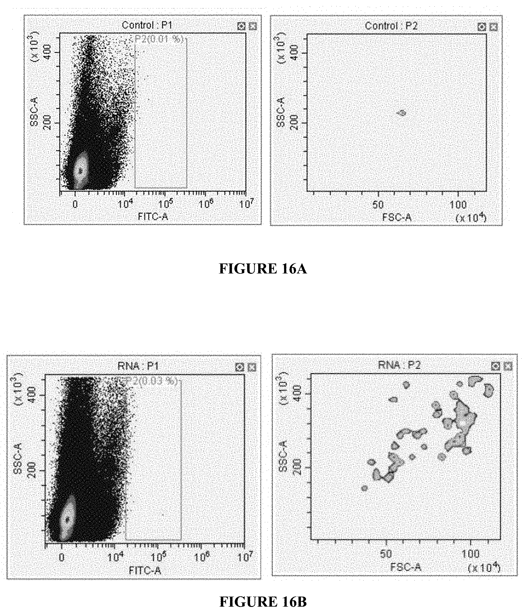 Patent US11780869 Figure 14 – Deuterium-stabilised ribonucleic acid (RNA) molecules displaying increased resistance to thermal and enzymatic hydrolysis, aqueous compositions comprising stabilised RNA molecules and methods for making same