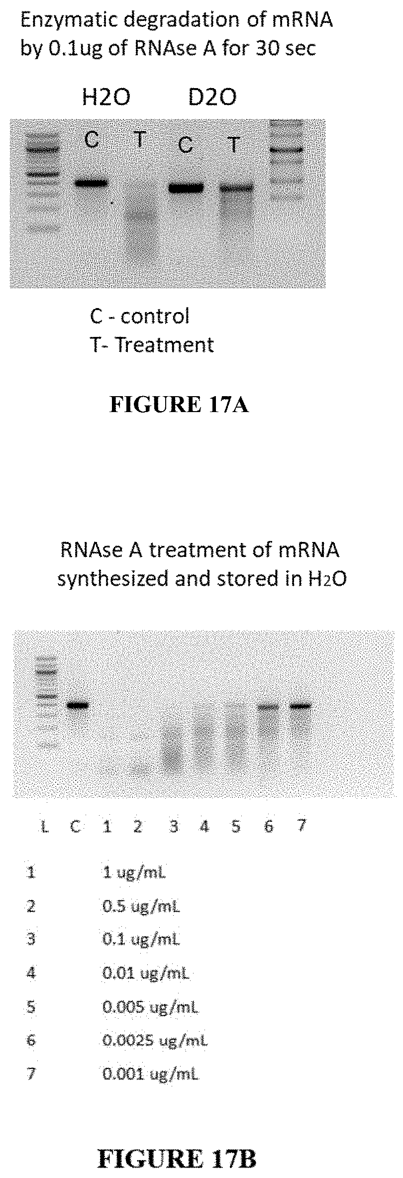 Patent US11780869 Figure 15 – Deuterium-stabilised ribonucleic acid (RNA) molecules displaying increased resistance to thermal and enzymatic hydrolysis, aqueous compositions comprising stabilised RNA molecules and methods for making same