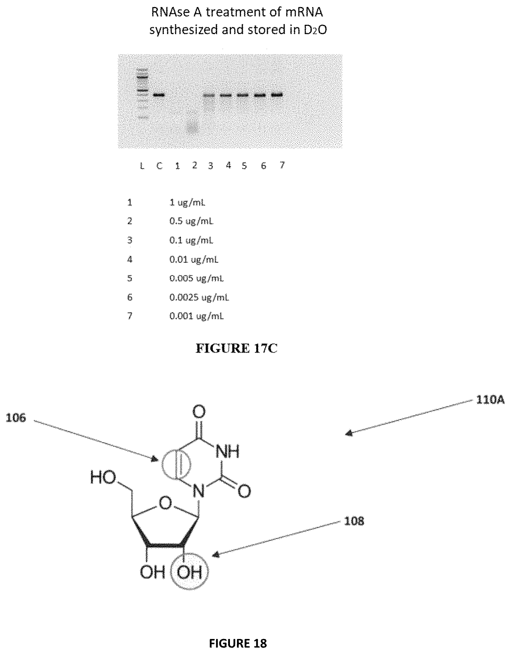 Patent US11780869 Figure 16 – Deuterium-stabilised ribonucleic acid (RNA) molecules displaying increased resistance to thermal and enzymatic hydrolysis, aqueous compositions comprising stabilised RNA molecules and methods for making same