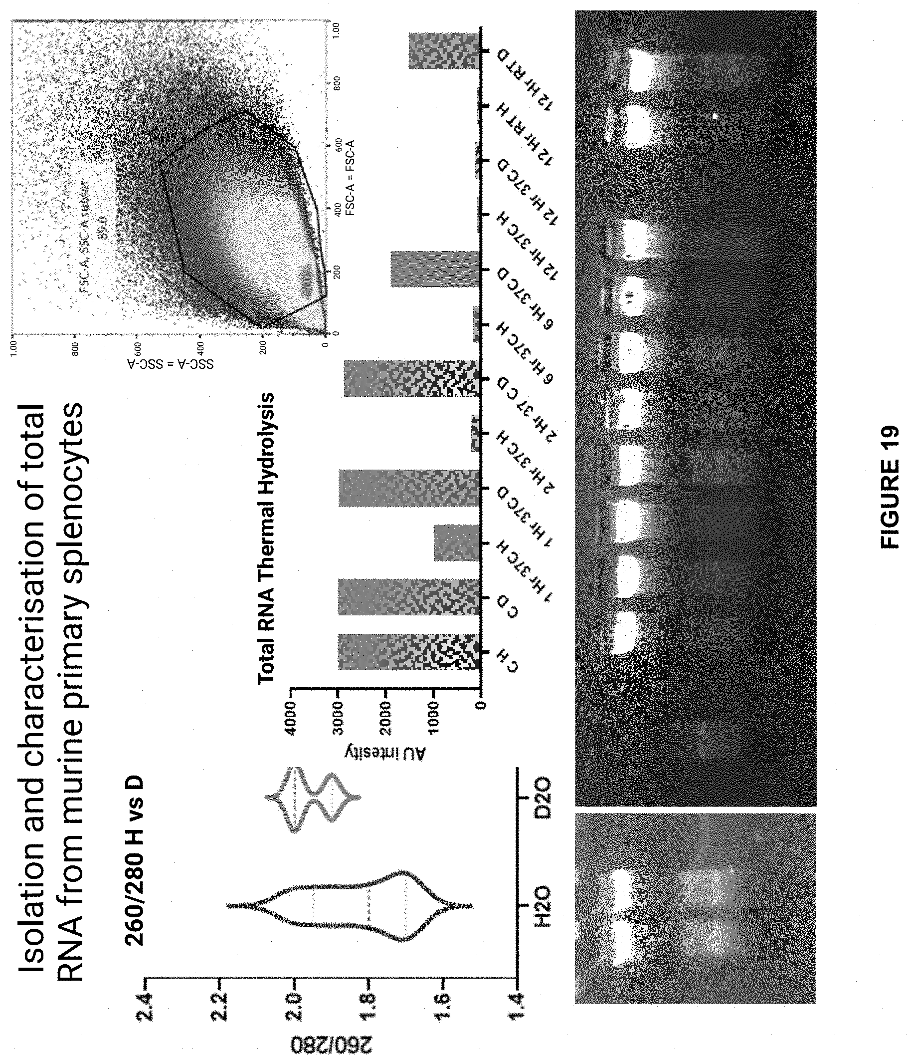 Patent US11780869 Figure 17 – Deuterium-stabilised ribonucleic acid (RNA) molecules displaying increased resistance to thermal and enzymatic hydrolysis, aqueous compositions comprising stabilised RNA molecules and methods for making same
