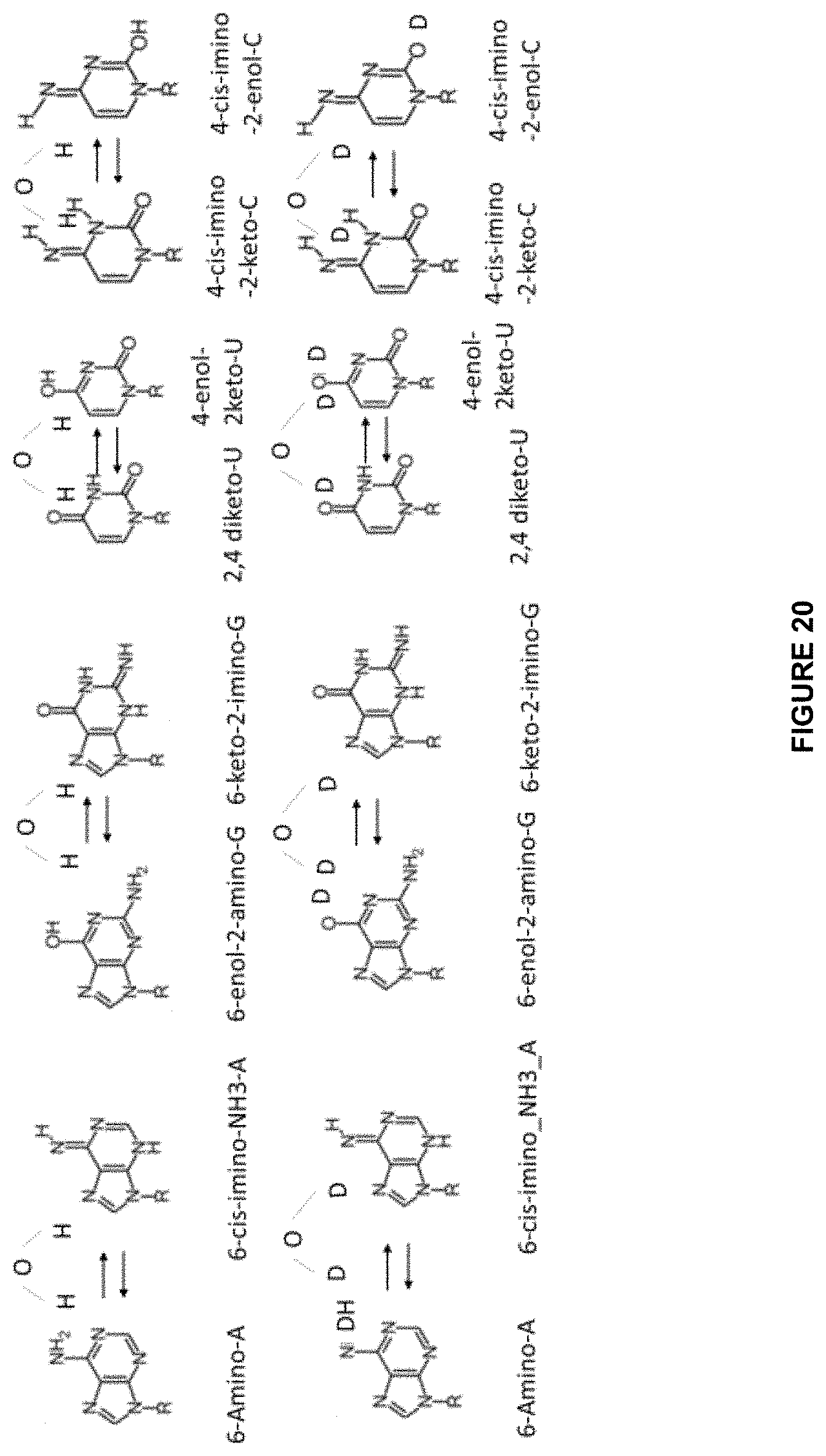 Patent US11780869 Figure 18 – Deuterium-stabilised ribonucleic acid (RNA) molecules displaying increased resistance to thermal and enzymatic hydrolysis, aqueous compositions comprising stabilised RNA molecules and methods for making same