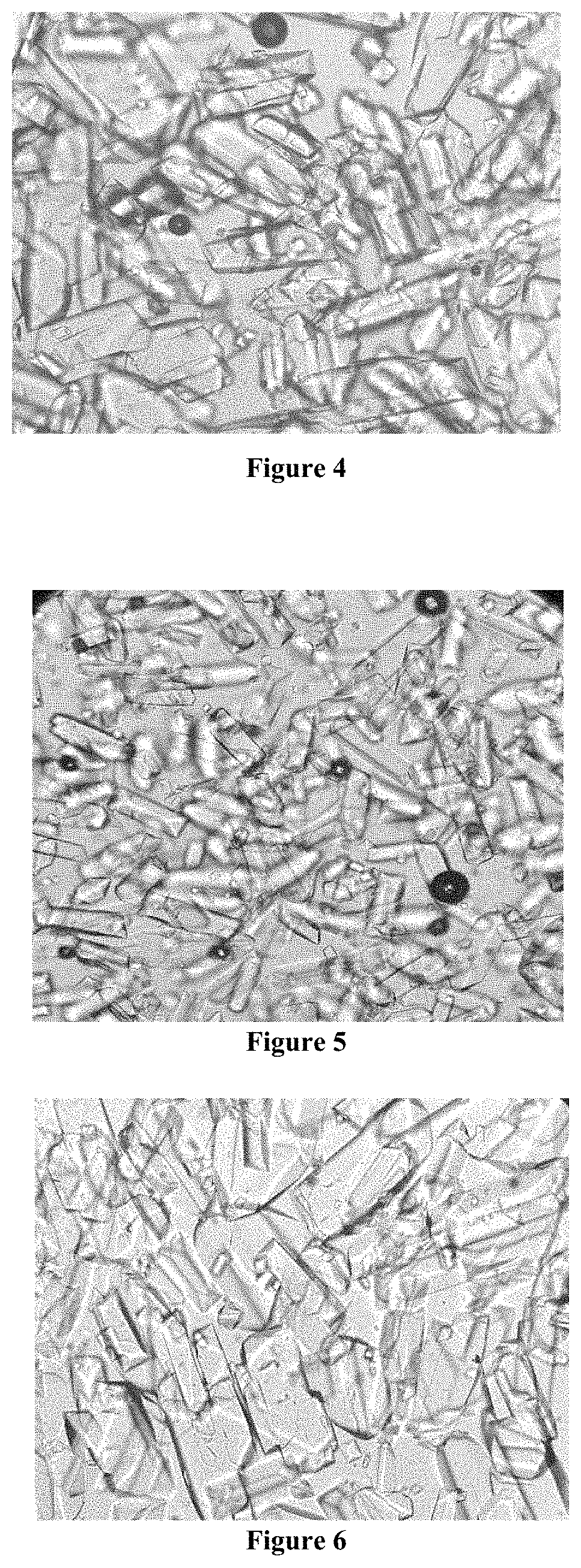 Patent US11780870 Figure 2 – Method for preparing crystalline D-psicose