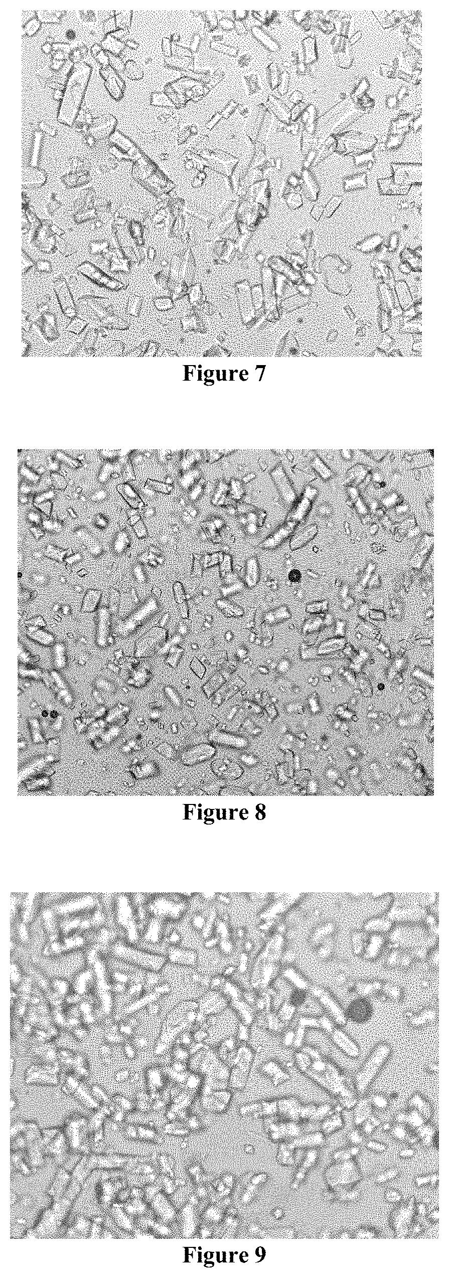 Patent US11780870 Figure 3 – Method for preparing crystalline D-psicose