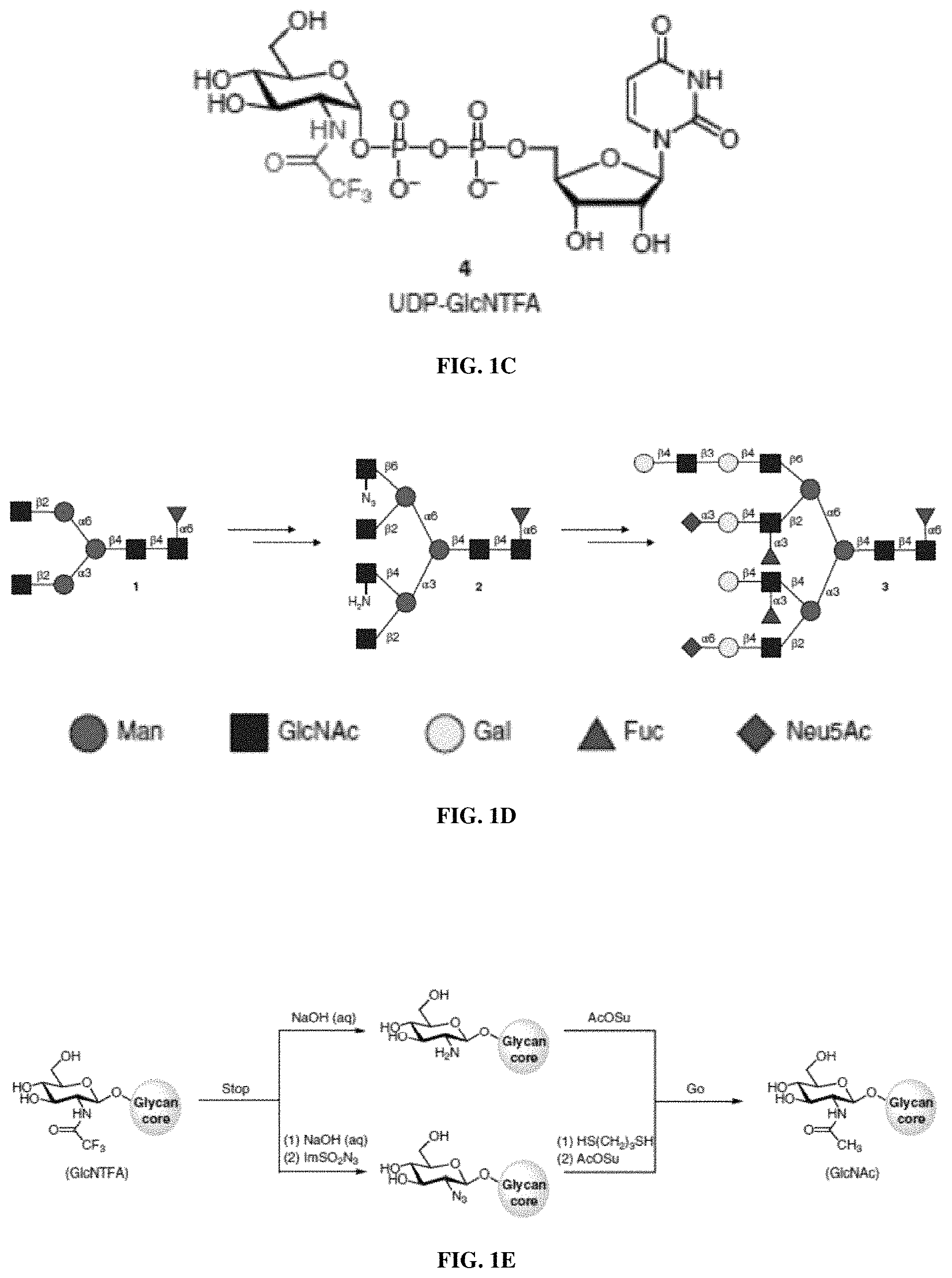 Patent US11780872 Figure 2 – Oligosaccharide analytical standards