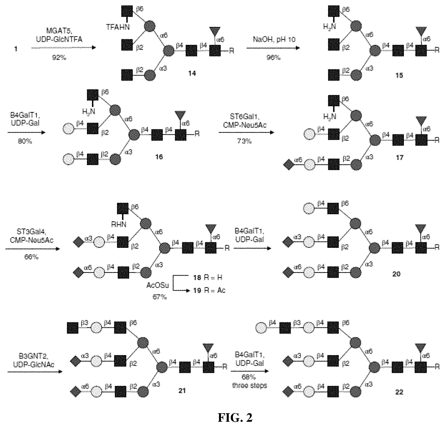 Patent US11780872 Figure 3 – Oligosaccharide analytical standards