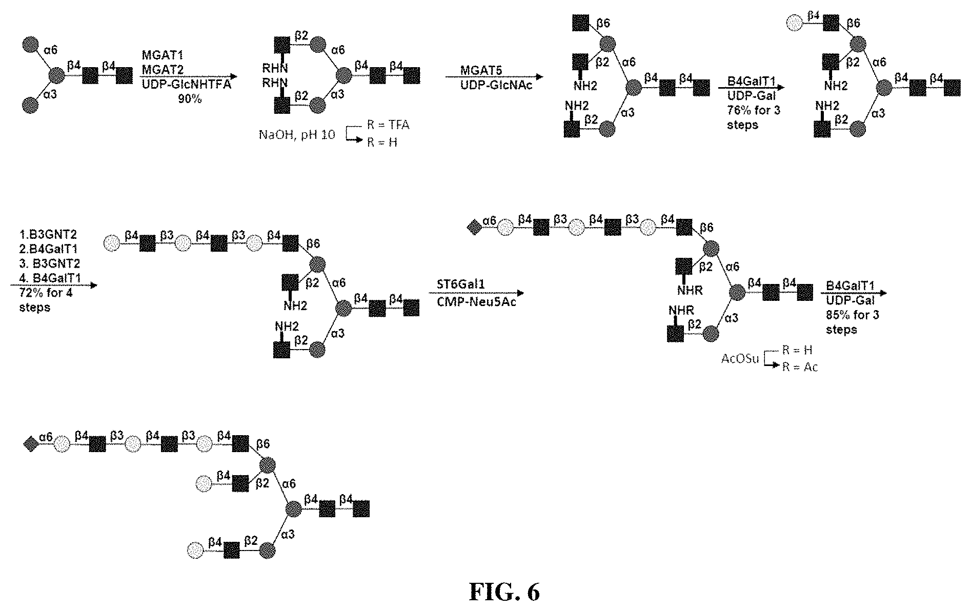 Patent US11780872 Figure 6 – Oligosaccharide analytical standards