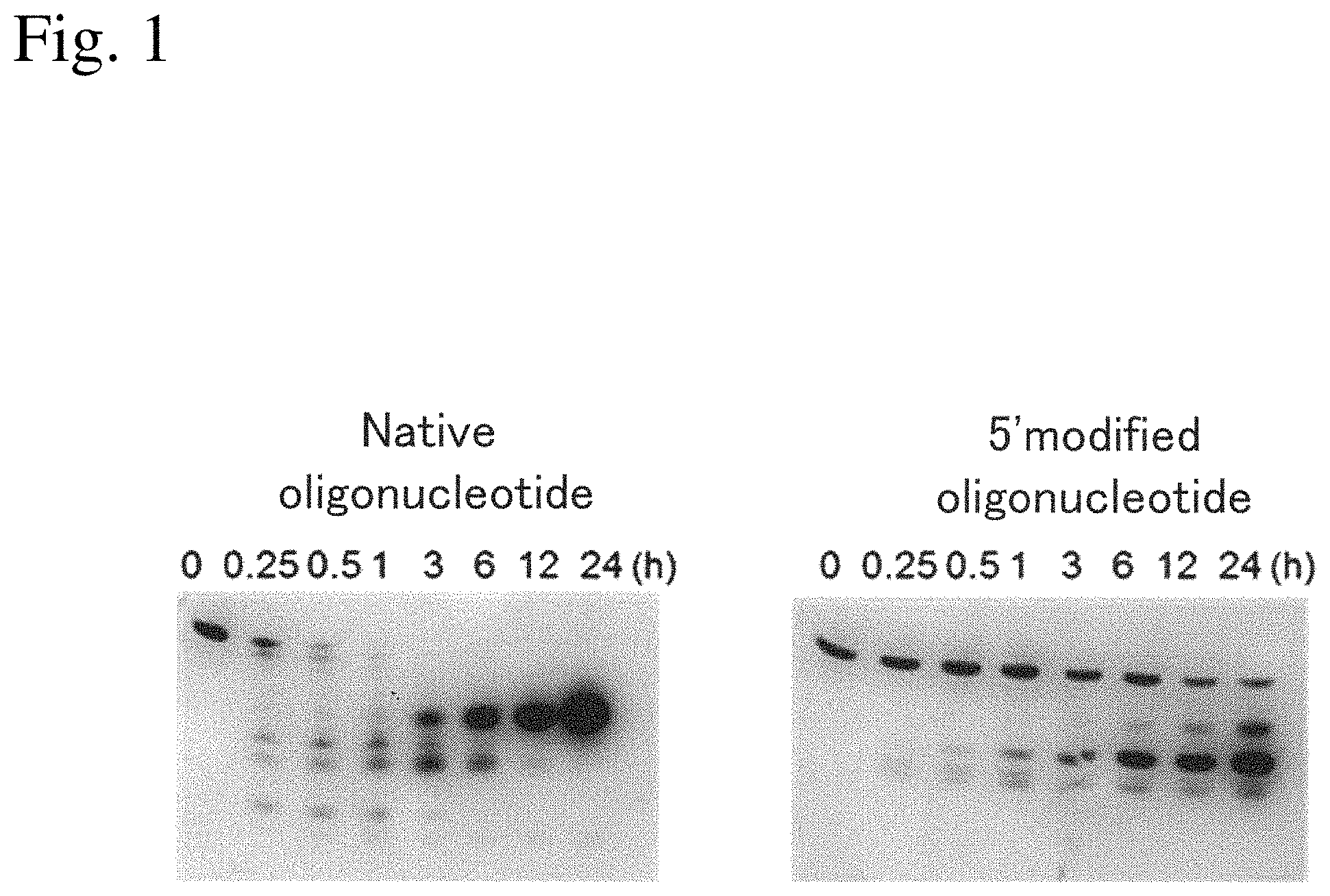 Patent US11780874 Figure 1 – Nucleoside derivative and use thereof
