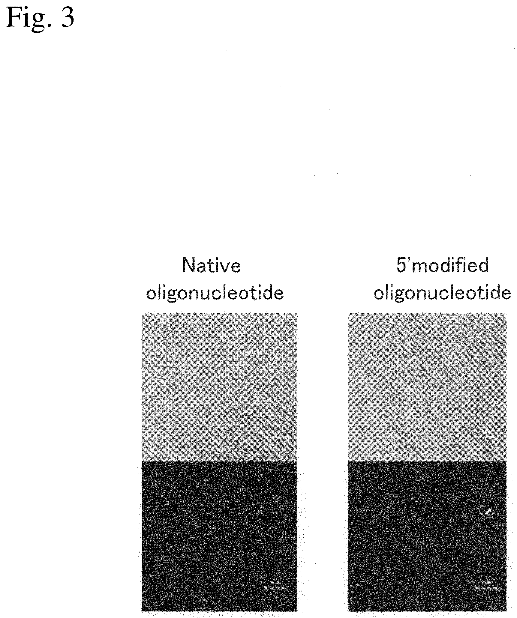 Patent US11780874 Figure 3 – Nucleoside derivative and use thereof