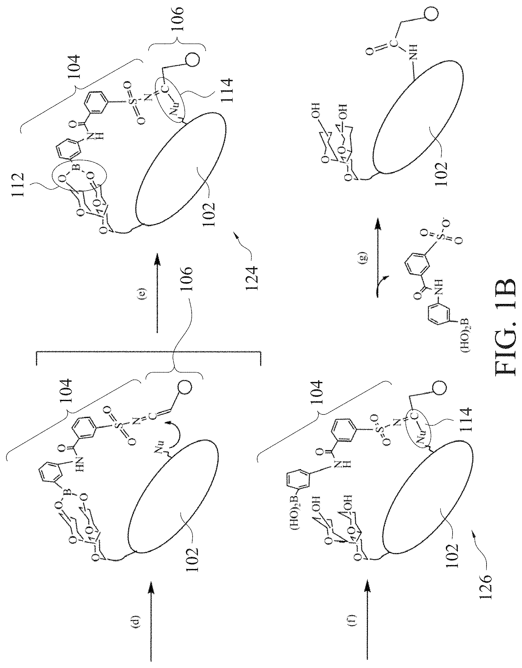 Patent US11780877 Figure 2 – Method of sugar-guided modifying glycosylated polypeptide and application of the same
