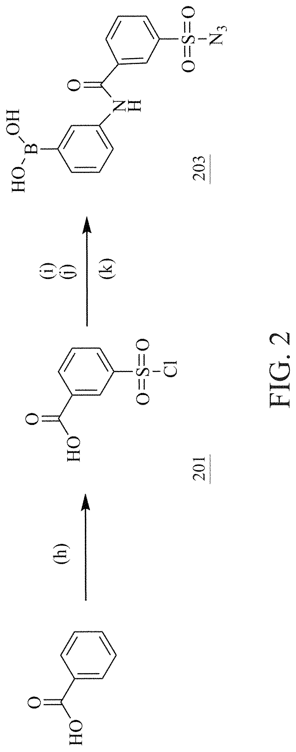 Patent US11780877 Figure 3 – Method of sugar-guided modifying glycosylated polypeptide and application of the same