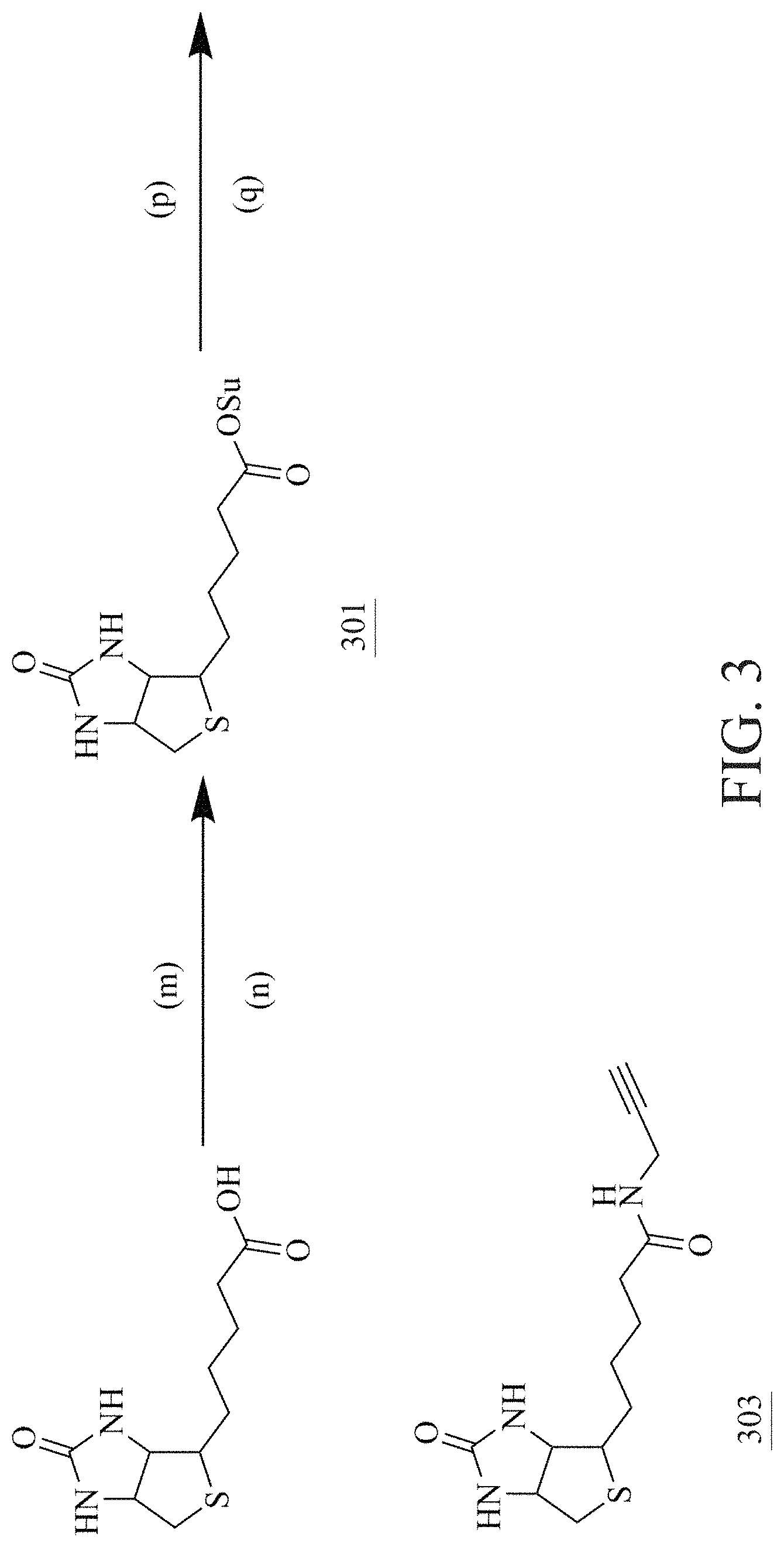 Patent US11780877 Figure 4 – Method of sugar-guided modifying glycosylated polypeptide and application of the same