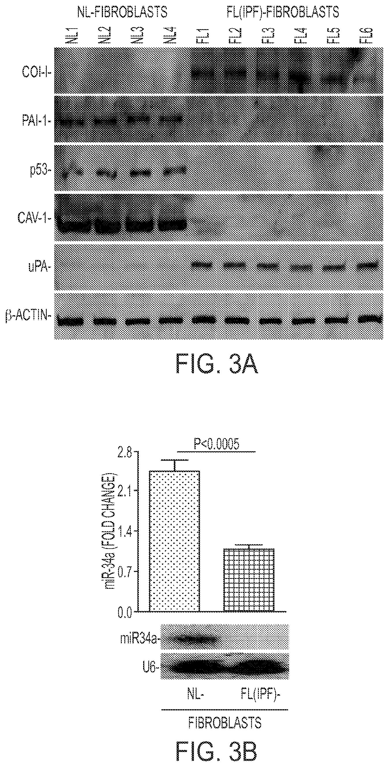 Patent US11780879 Figure 3 – Inhibition of pulmonary fibrosis with nutlin-3A and peptides