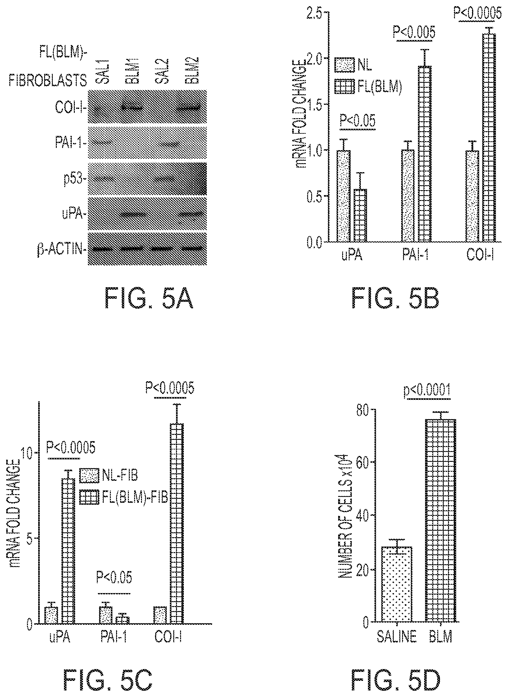 Patent US11780879 Figure 5 – Inhibition of pulmonary fibrosis with nutlin-3A and peptides