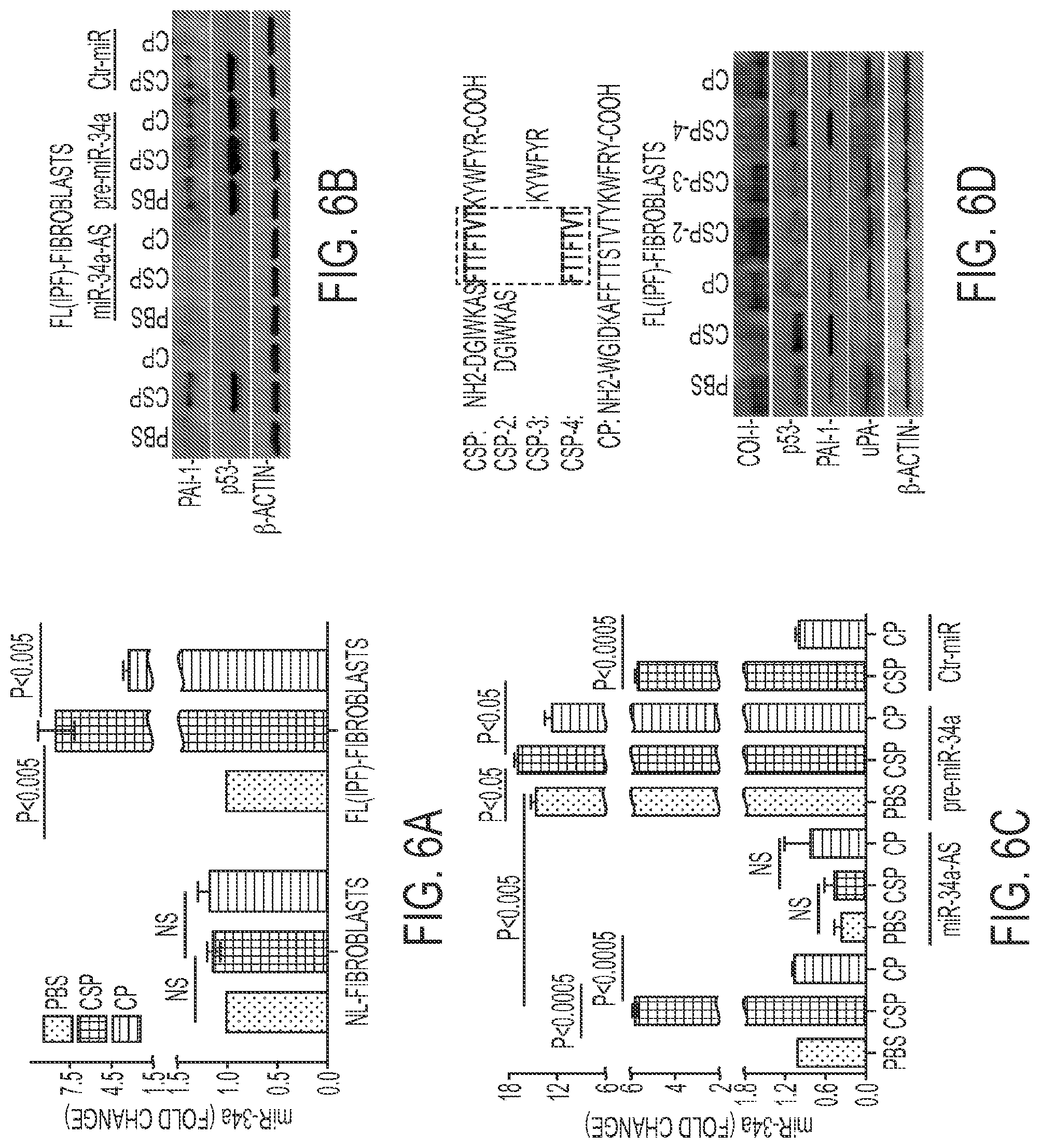 Patent US11780879 Figure 6 – Inhibition of pulmonary fibrosis with nutlin-3A and peptides