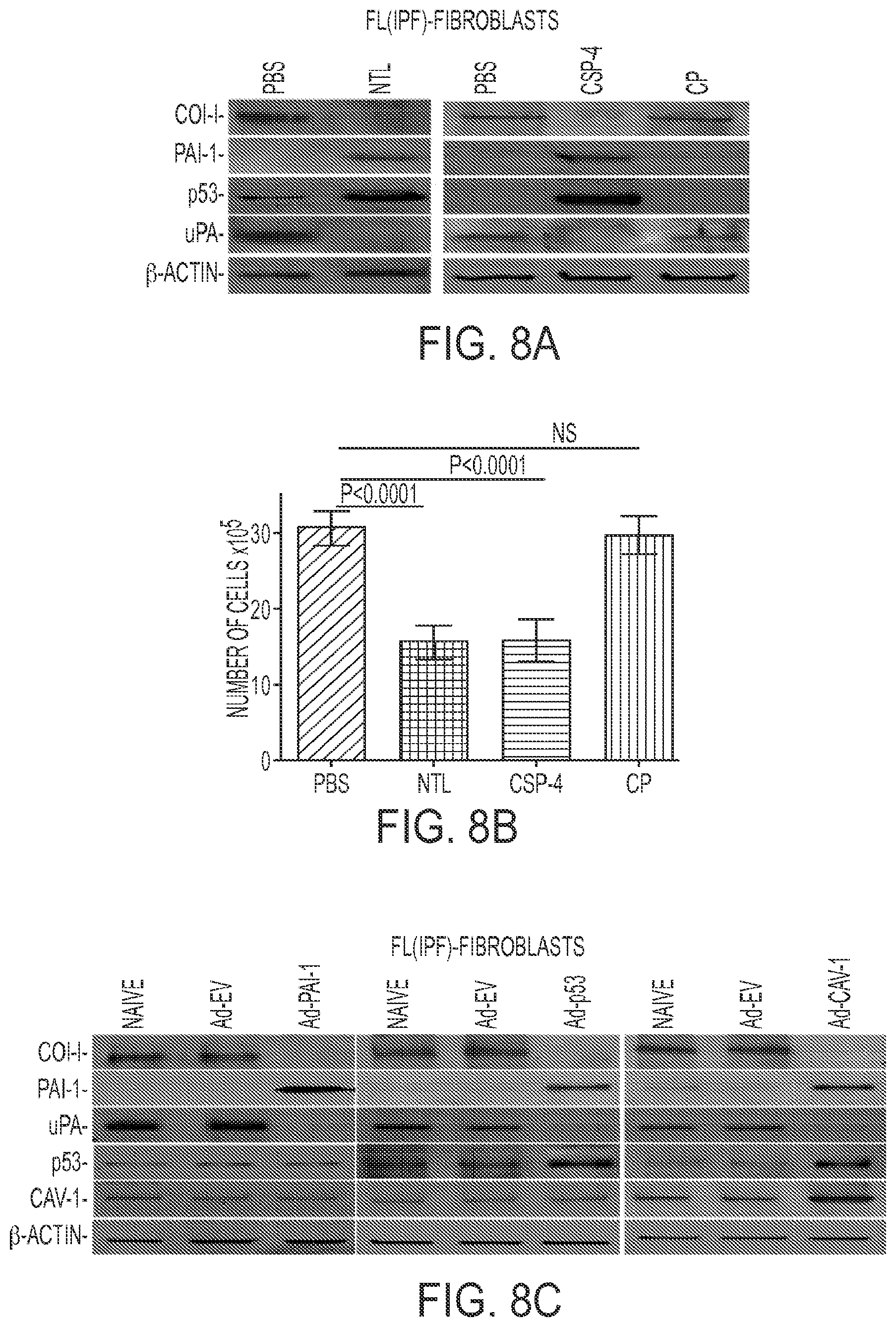 Patent US11780879 Figure 8 – Inhibition of pulmonary fibrosis with nutlin-3A and peptides
