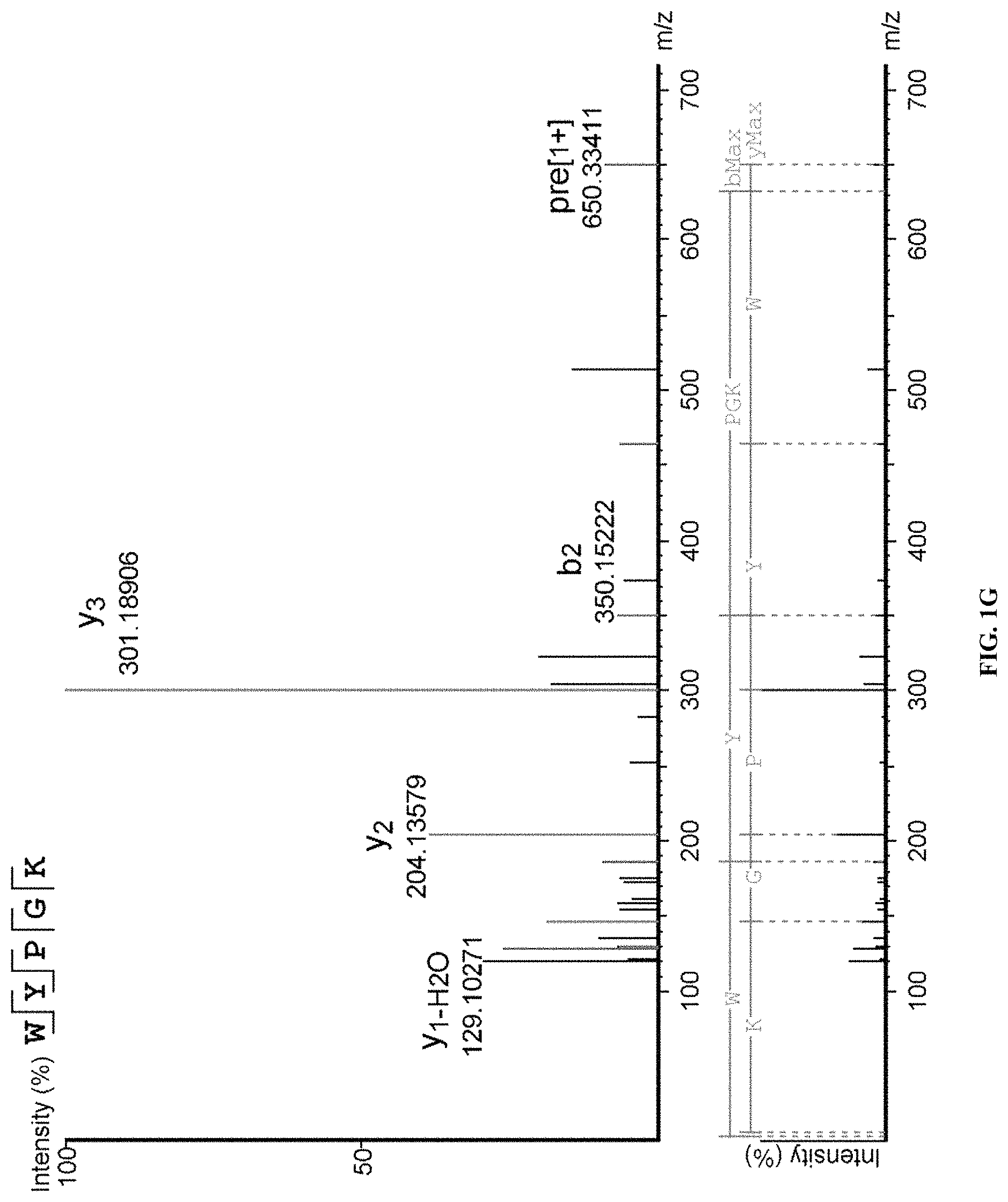 Patent US11780880 Figure 5 – High-activity memory-improving derivative peptide and use thereof