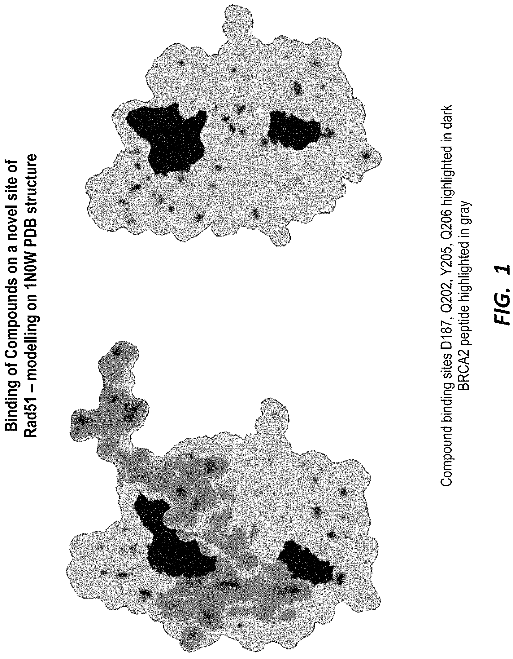 Patent US11780881 Figure 1 – Compounds for selective disruption of protein-protein interactions