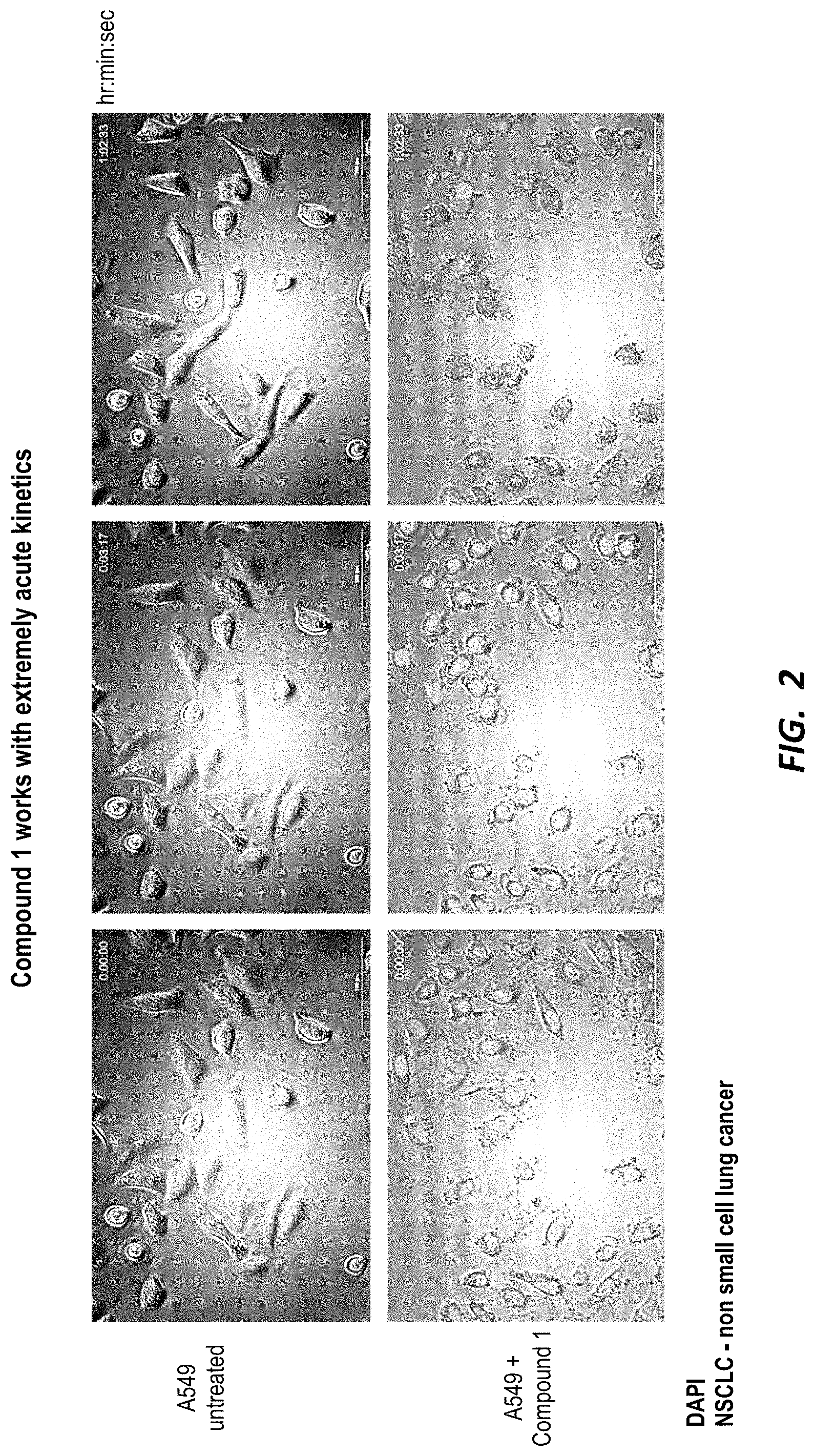 Patent US11780881 Figure 2 – Compounds for selective disruption of protein-protein interactions