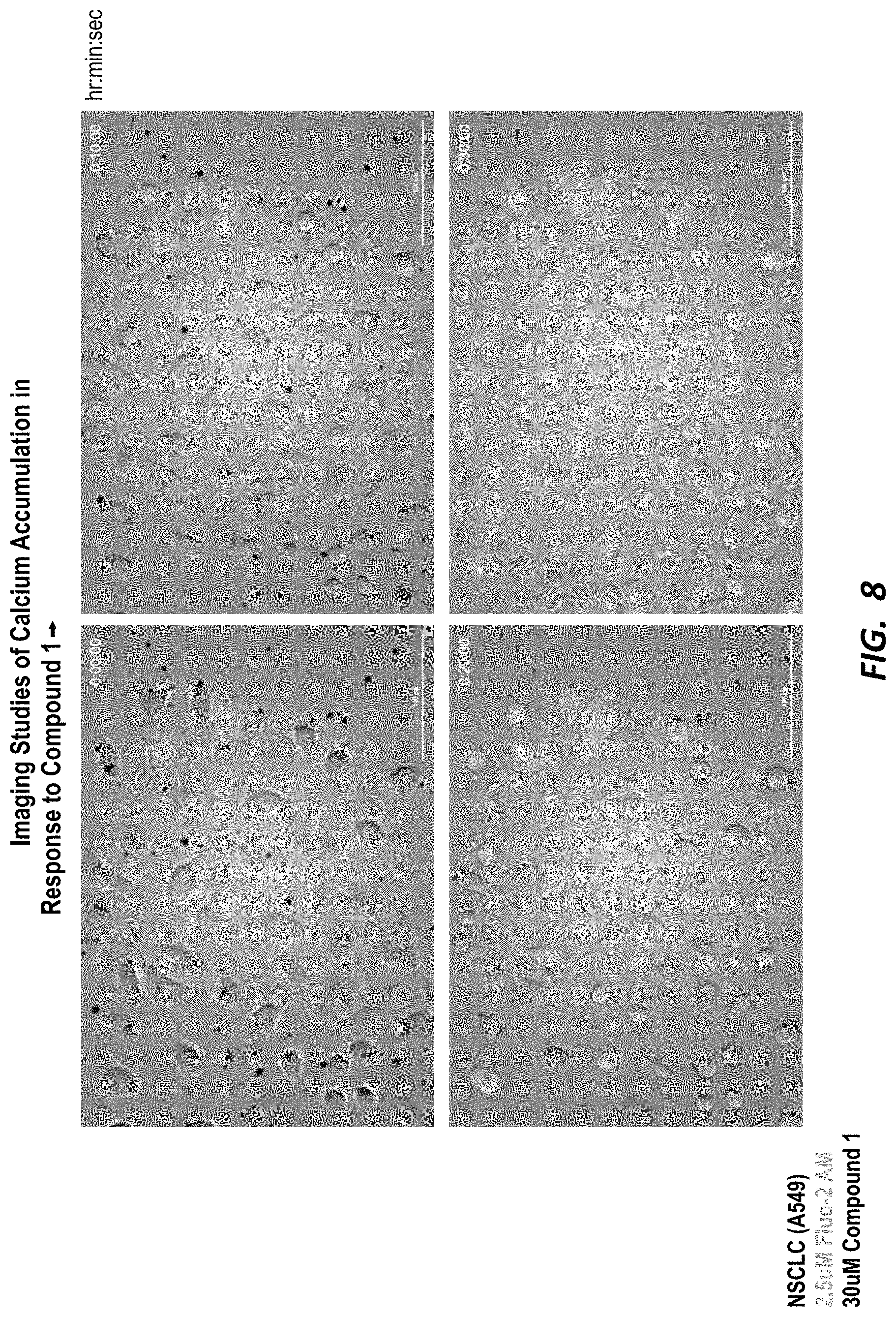 Patent US11780881 Figure 8 – Compounds for selective disruption of protein-protein interactions