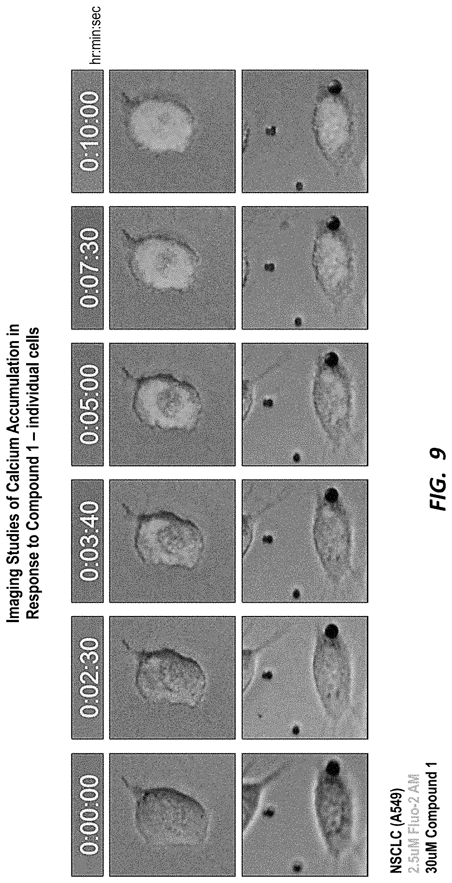 Patent US11780881 Figure 9 – Compounds for selective disruption of protein-protein interactions