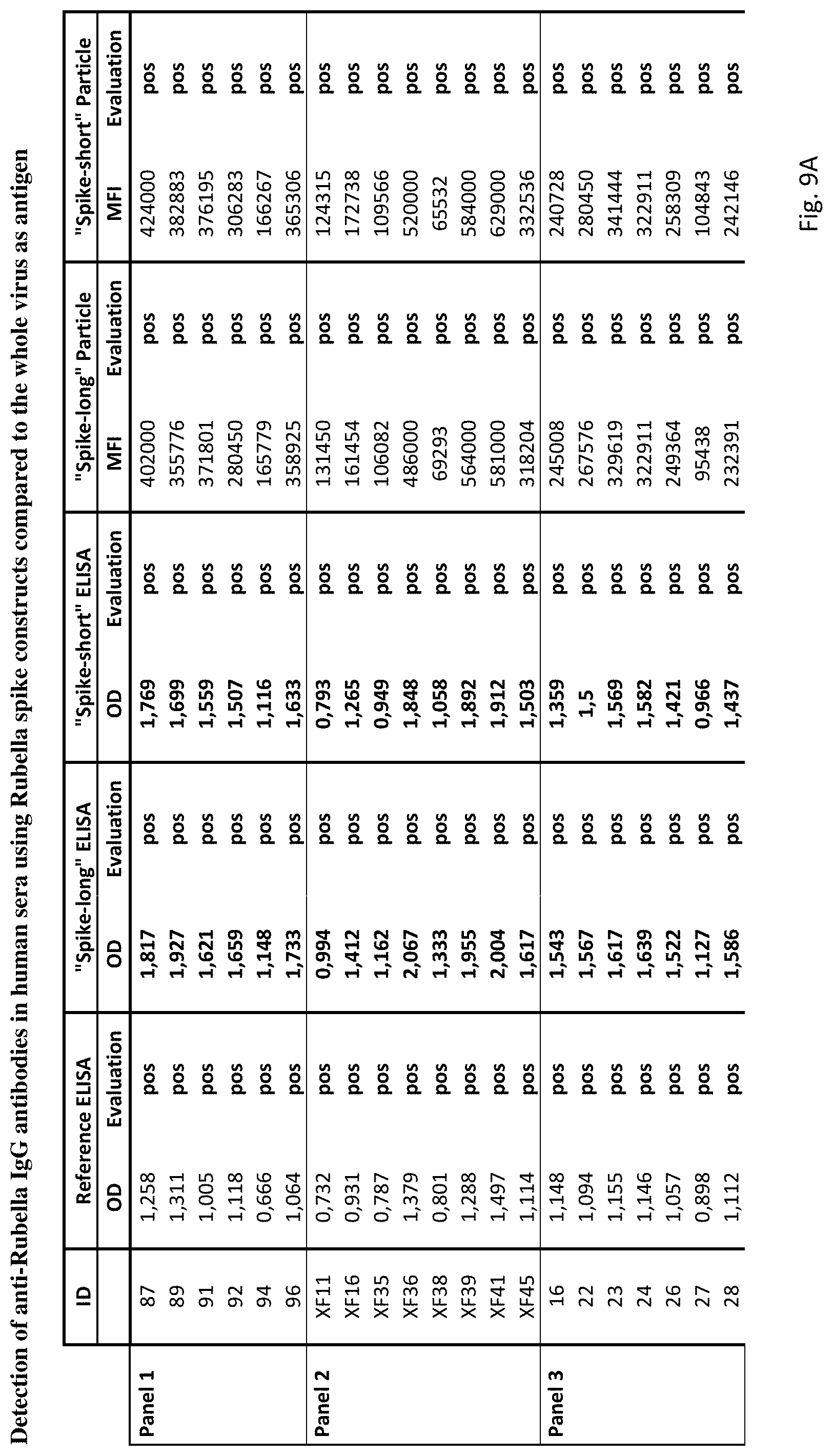Patent US11780884 Figure 12 – Rubella virus spike construct