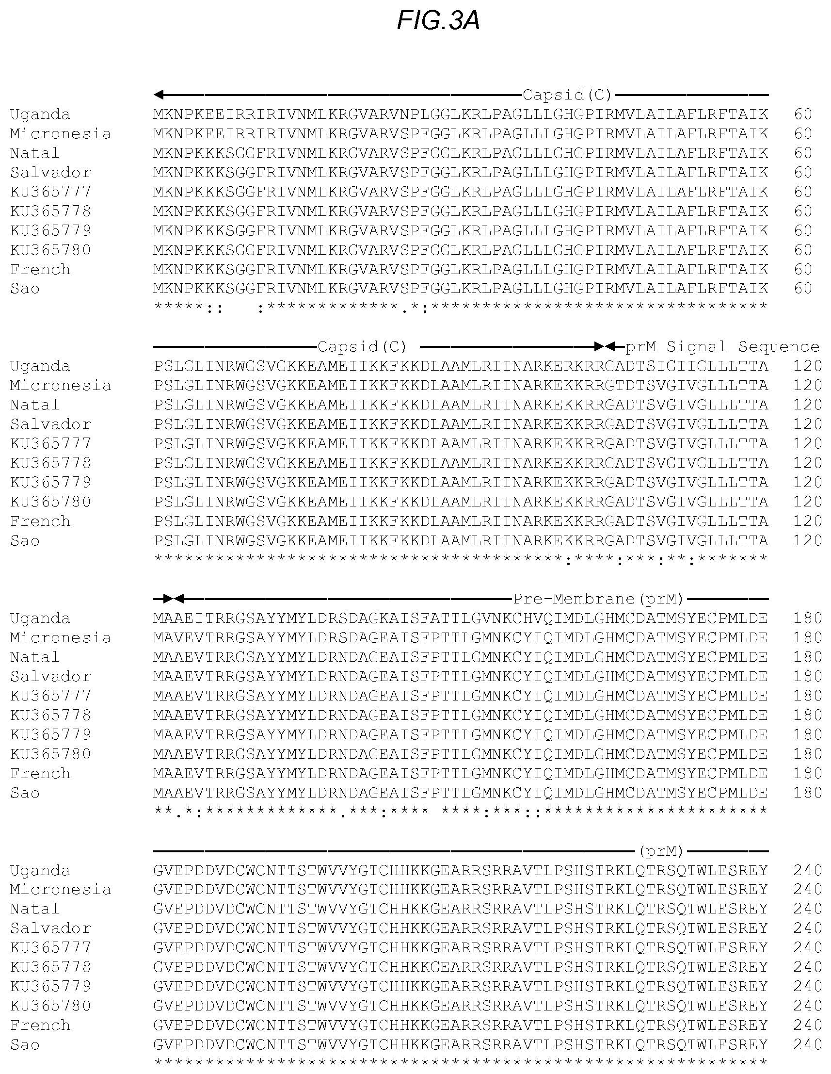Patent US11780885 Figure 3 – Zika viral antigen constructs