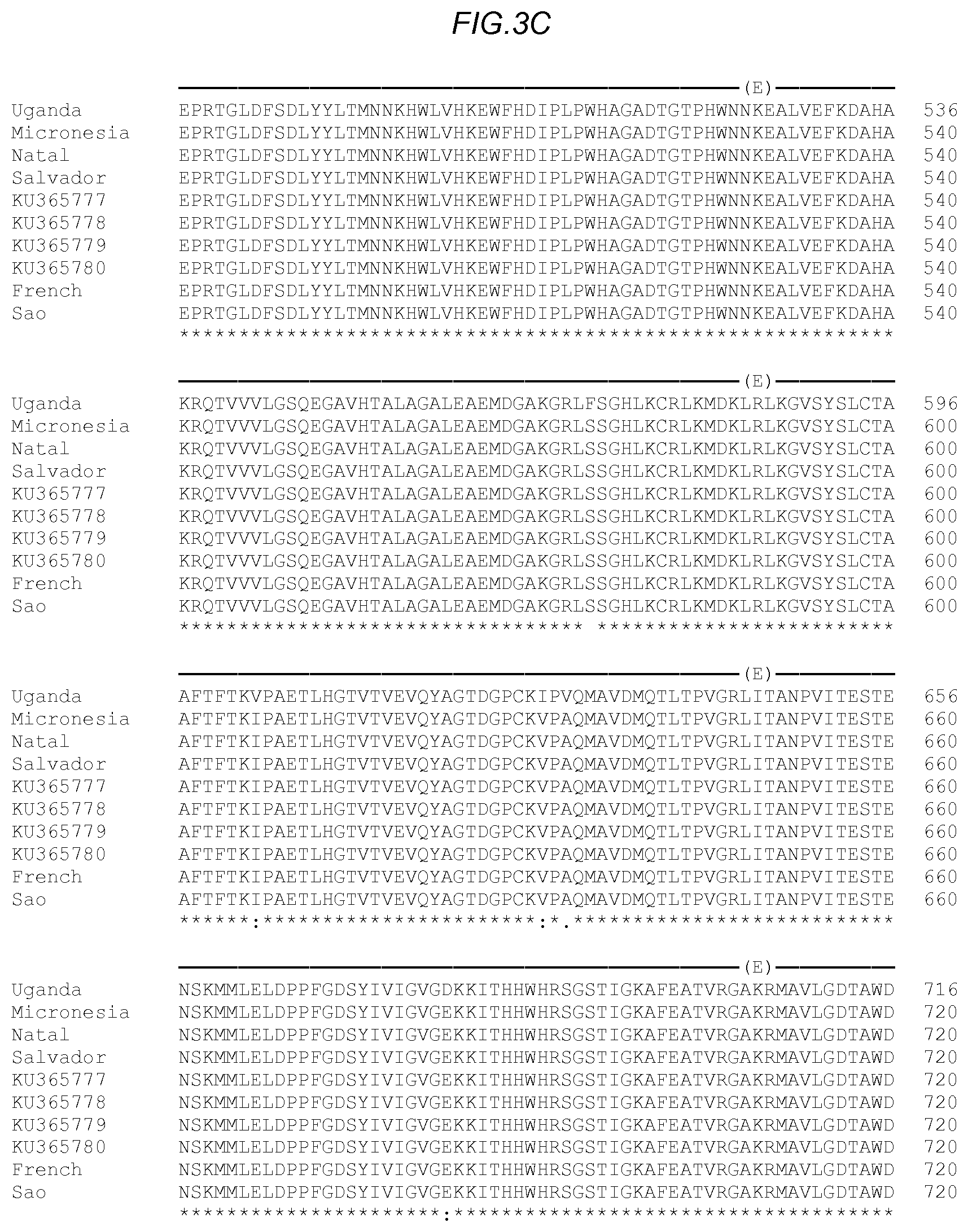 Patent US11780885 Figure 5 – Zika viral antigen constructs