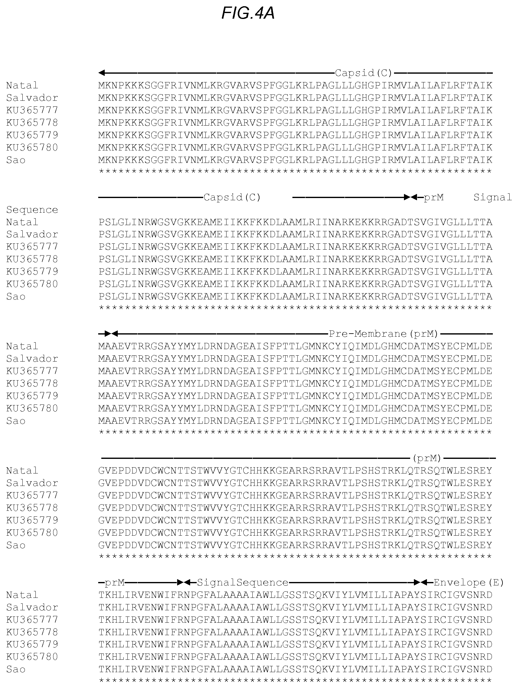 Patent US11780885 Figure 7 – Zika viral antigen constructs