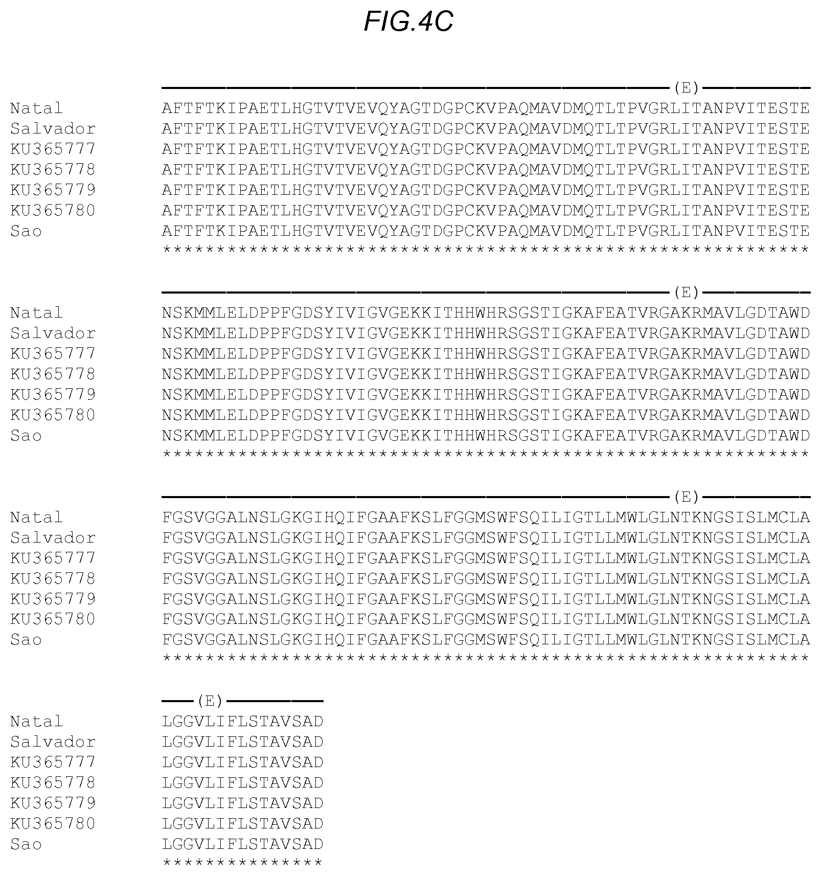 Patent US11780885 Figure 9 – Zika viral antigen constructs