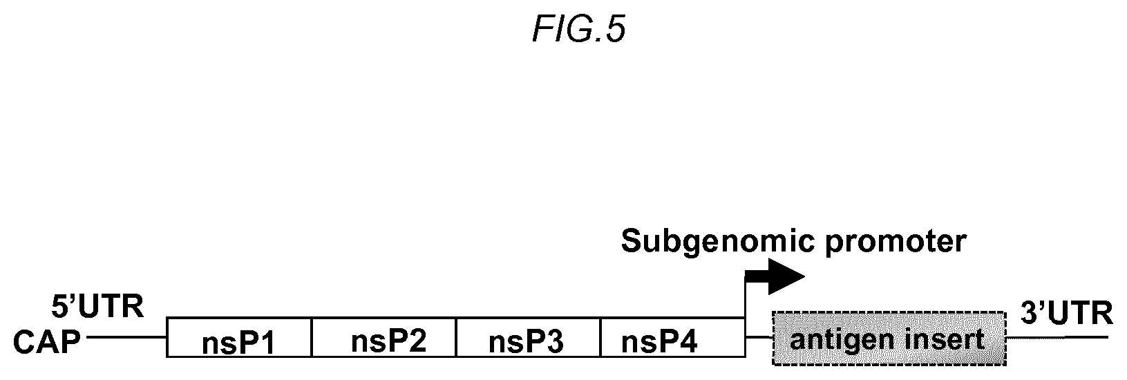 Patent US11780885 Figure 10 – Zika viral antigen constructs